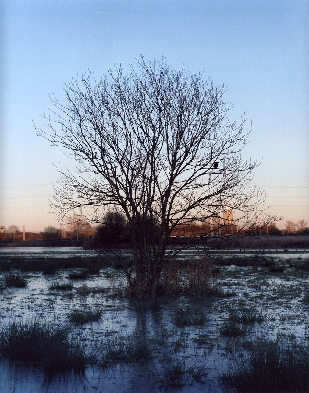 Feb2024_010_sml.jpeg