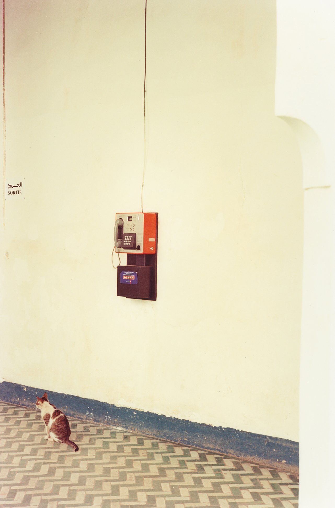 Marrakesh_05_fin.jpg