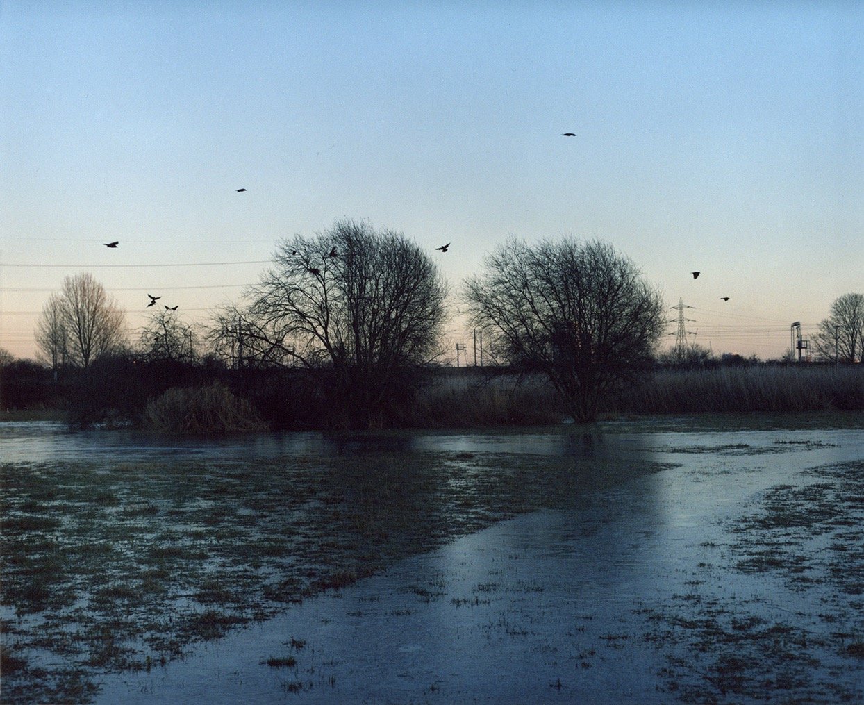 Feb2024_012_sml.jpeg
