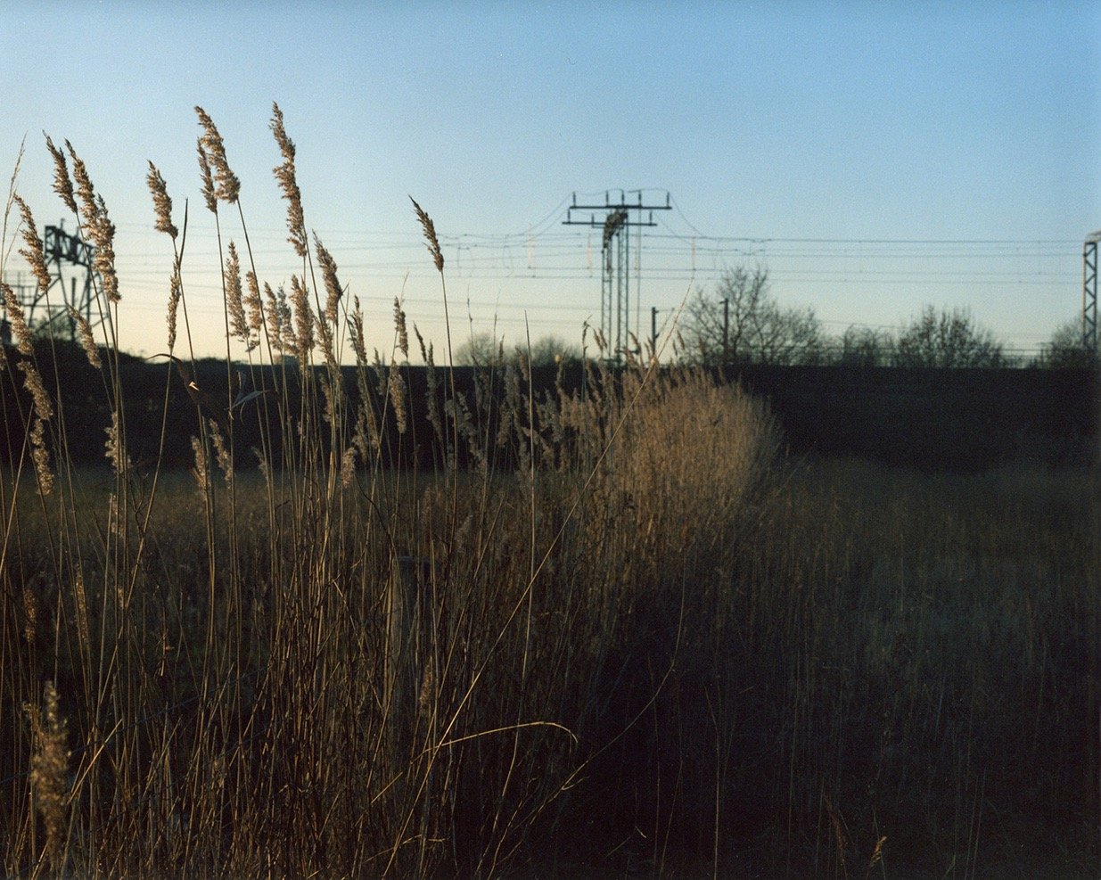 Feb2024_013_sml.jpeg