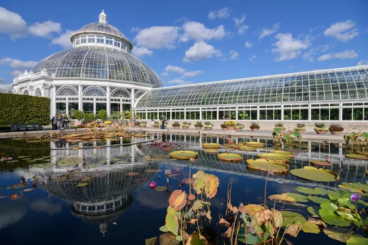 New York Botanical Garden Master Plan Operations Analysis