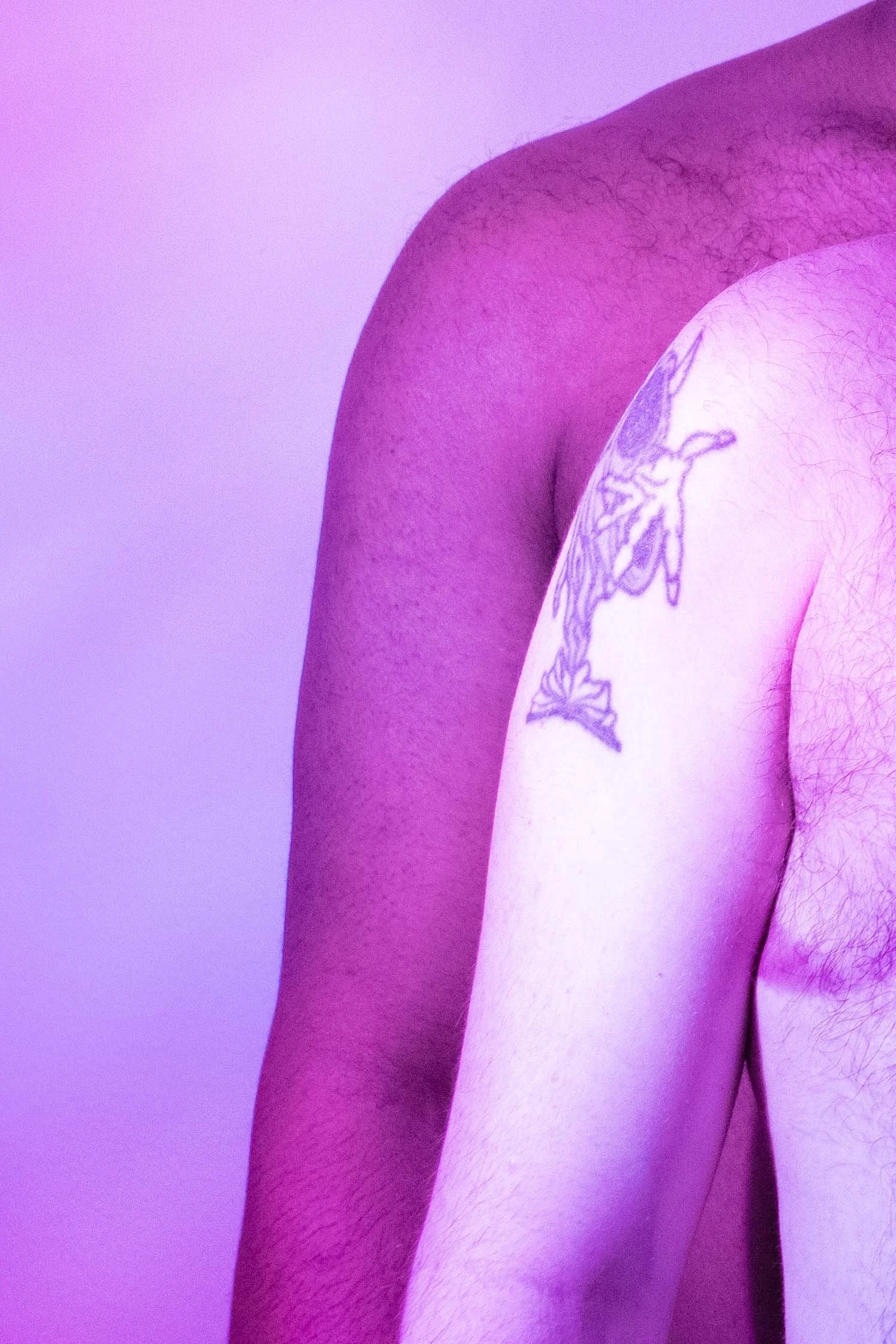 IMG_9734_crop copy.jpg