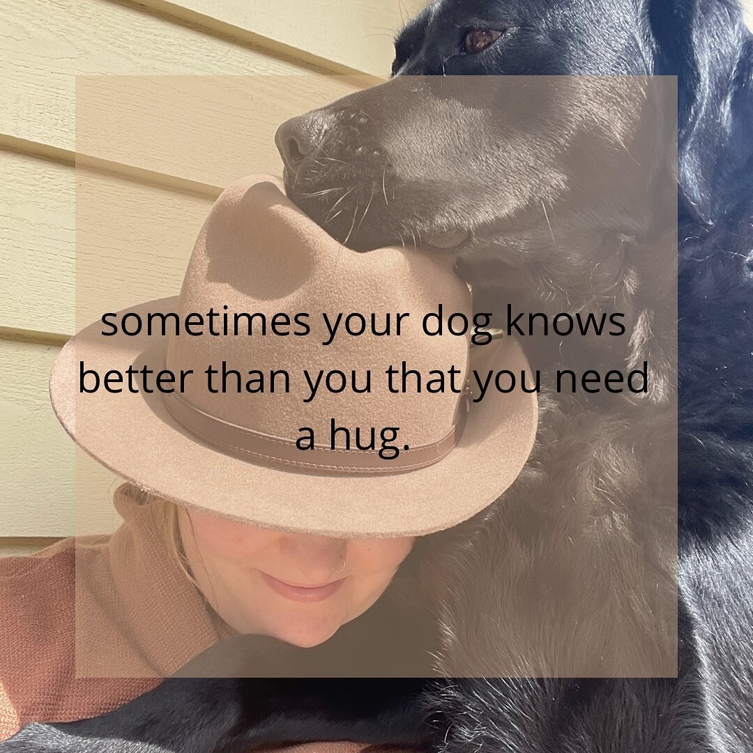 Meet Carlos. The most loving Labrador I have ever known.He always knows when I am feeling stressed or worried and does not take no for an answer on the days when I need a hug the most. If you have a furry friend, can they tell when you need some extr