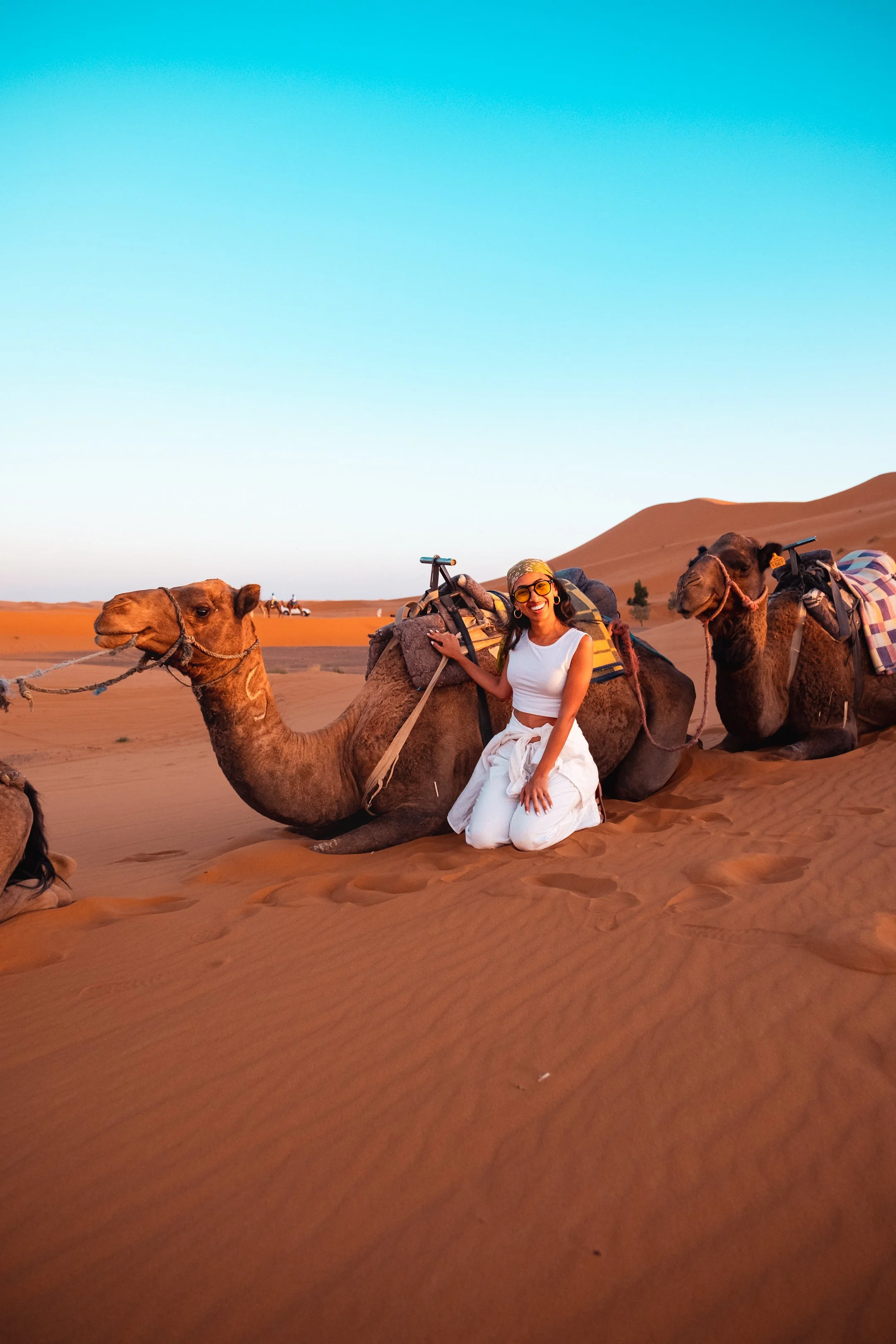Kimi Camel.jpg