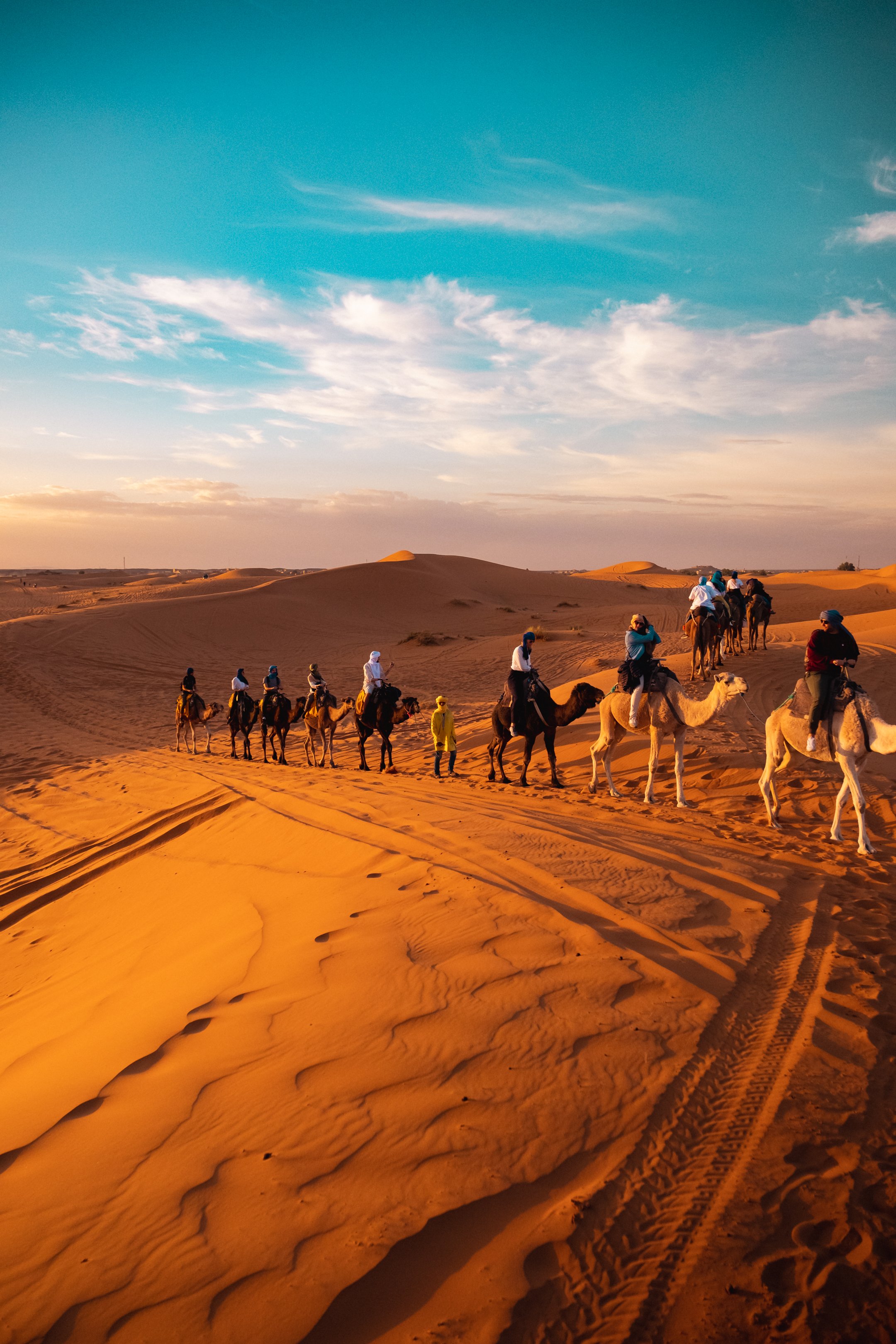 Camel Riding.jpg