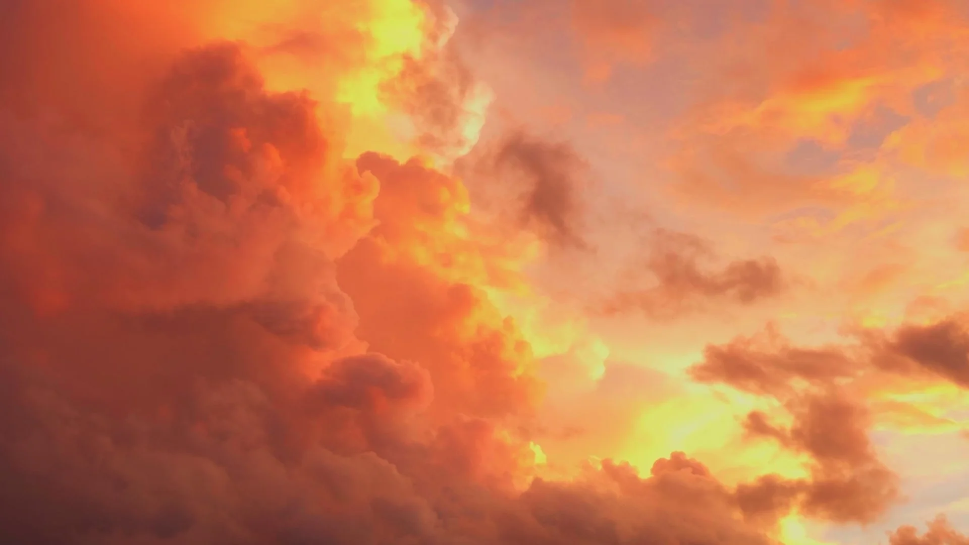 Website Footer_01_00_00_00.jpg