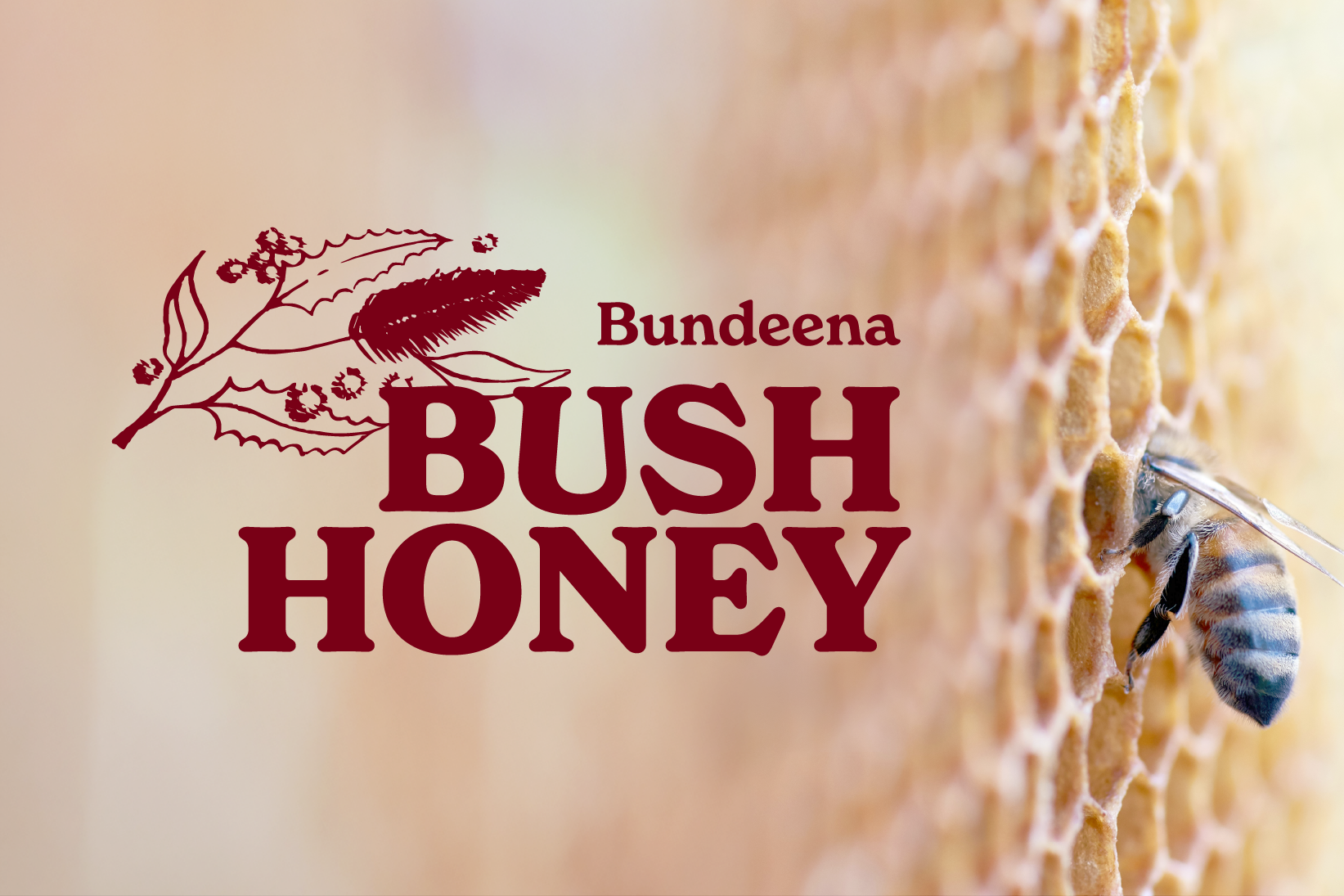 Bundeena Bush Honey