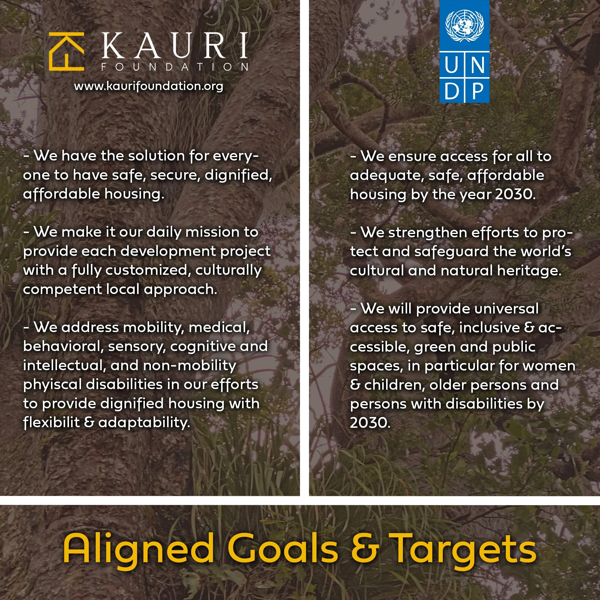 Kauri Foundation &amp; UNDP