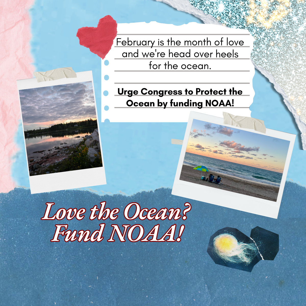 show Congress our love for the ocean