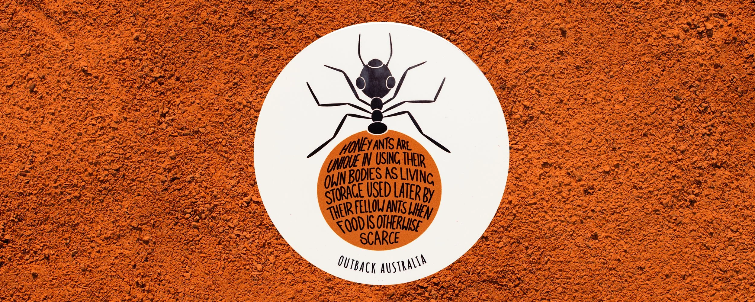 Honey Ant Sticker