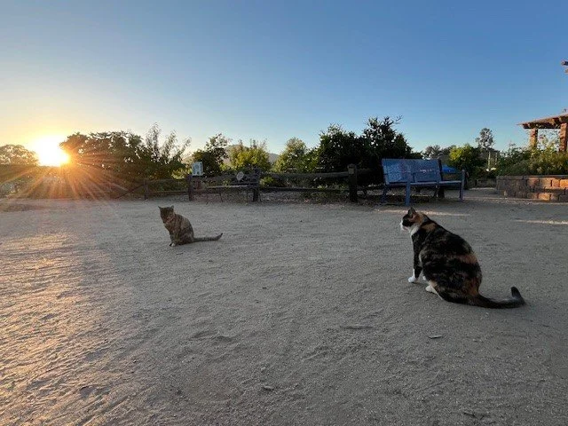 Guardians of the garden.jpg (Copy)