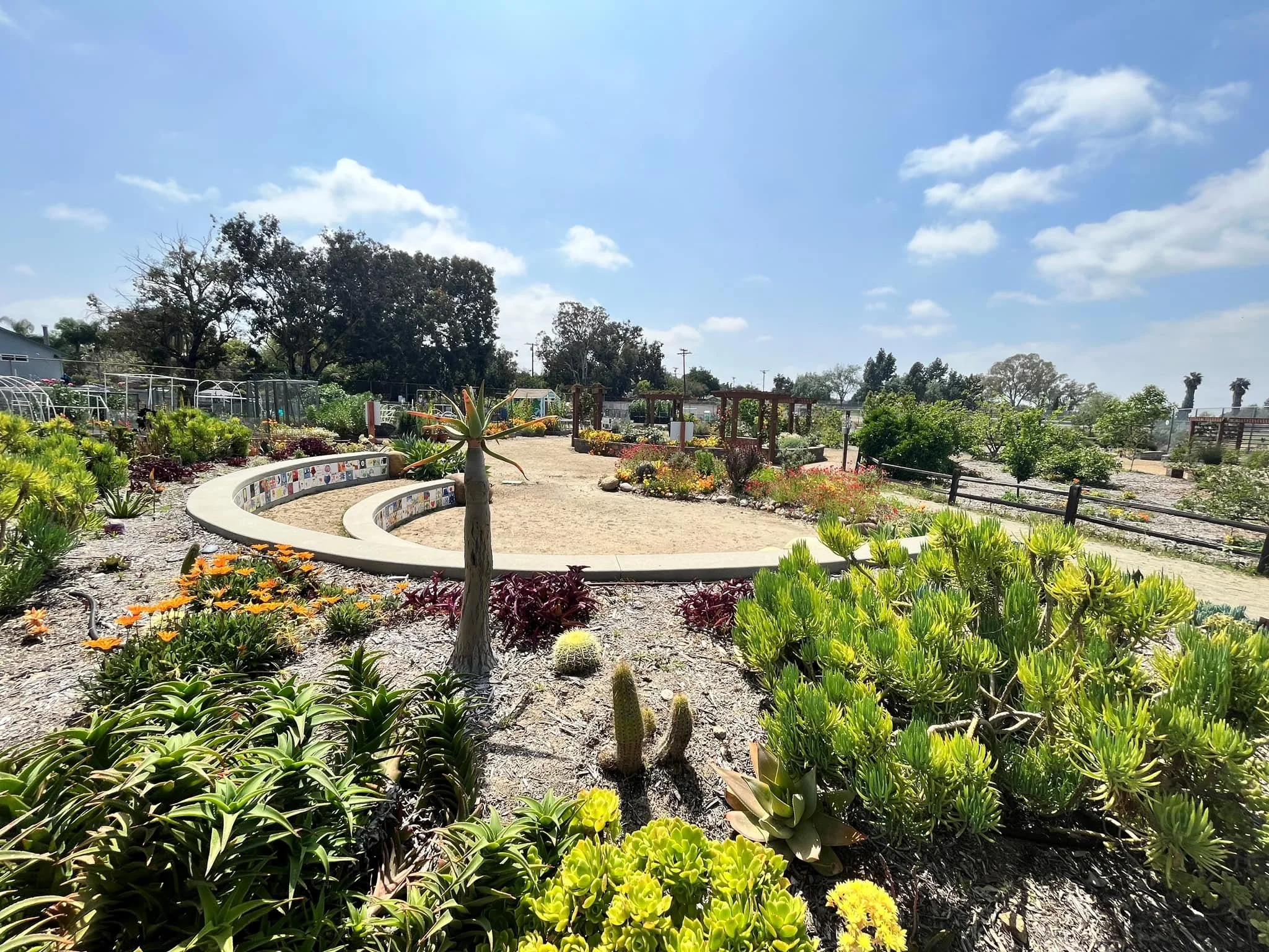 SCCG Garden.jpg