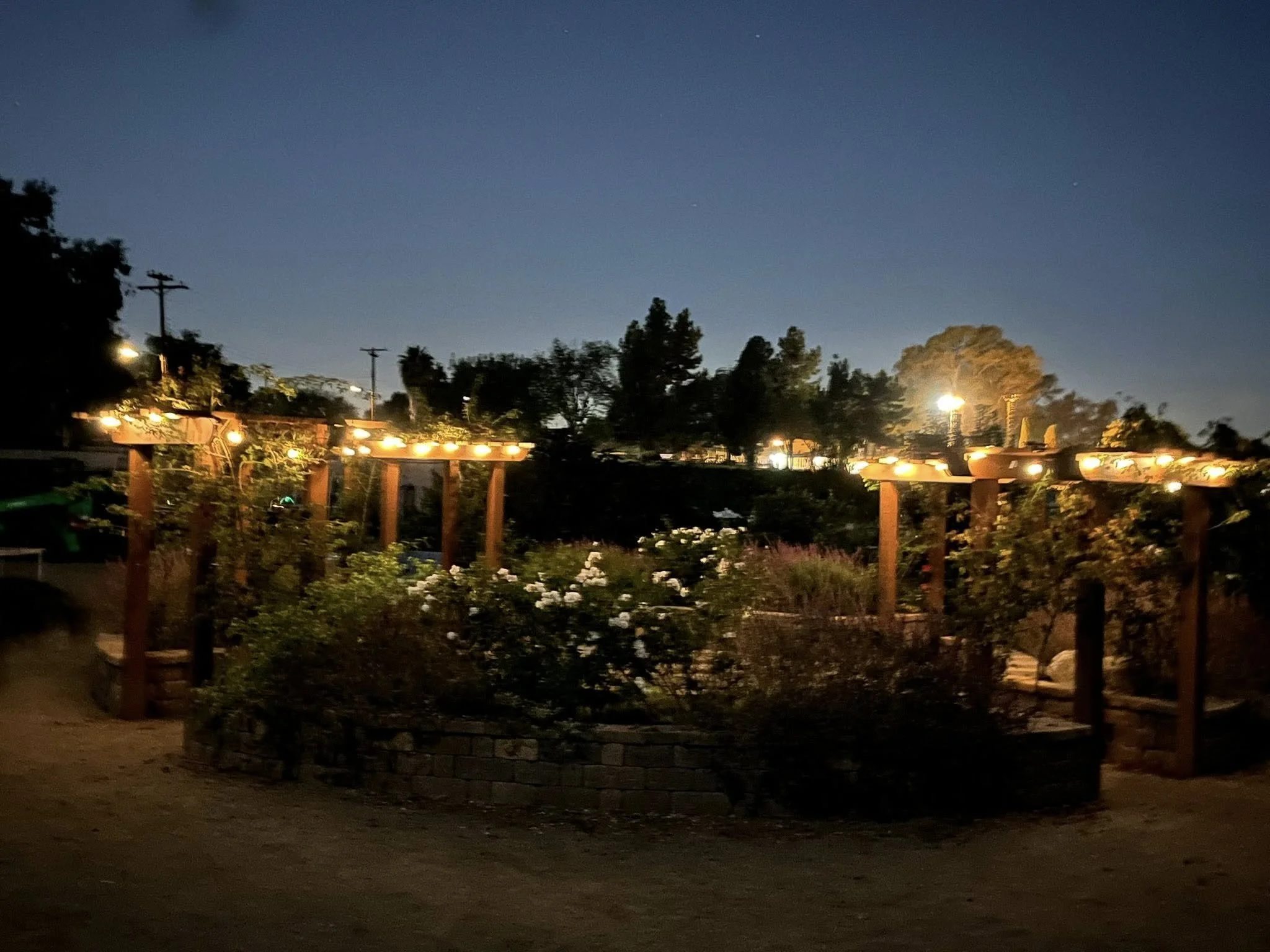 SCCG Nighttime in Garden.jpg