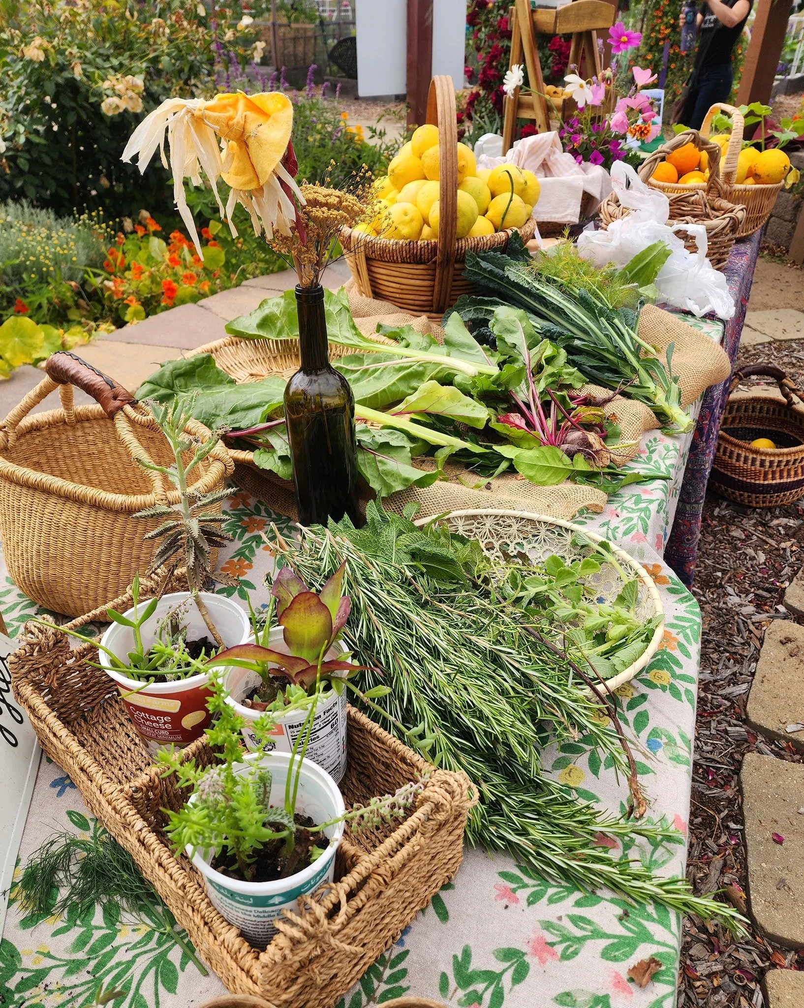 SCCG Volunteer Dinner or Produce Swap 2025.jpg