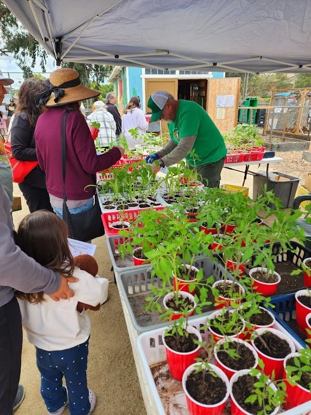 SCCG Spring Fest 2025_3.jpg