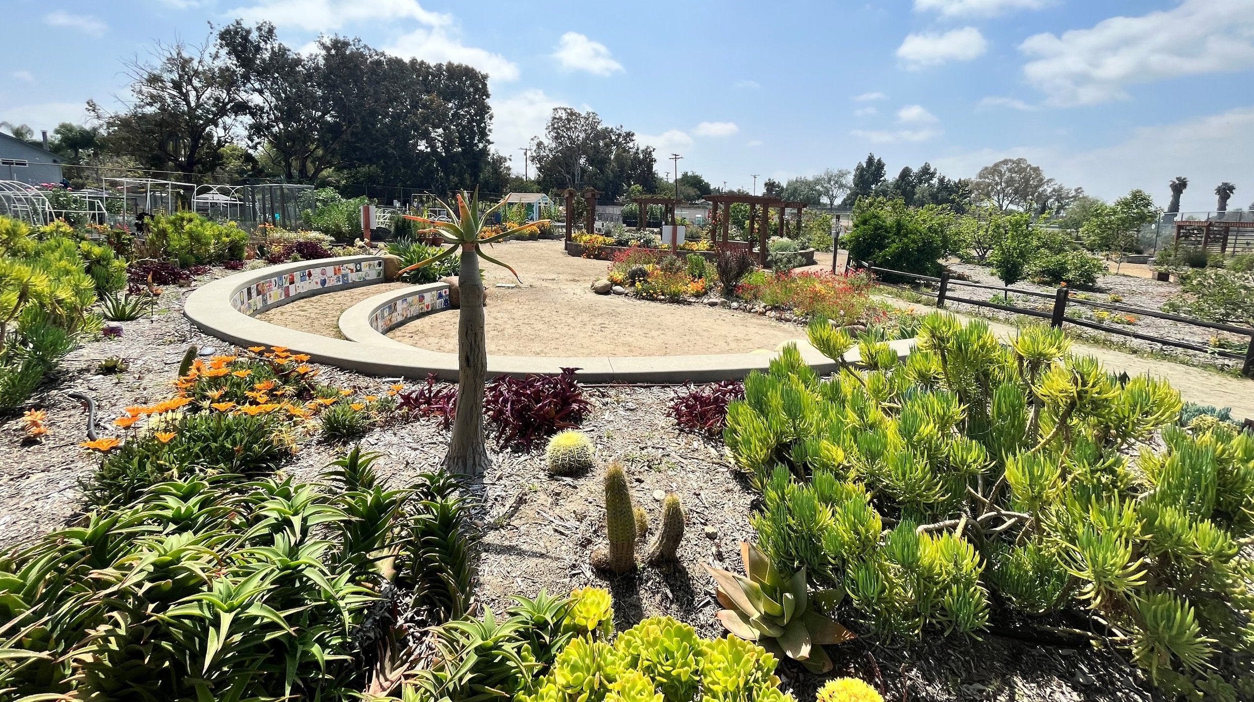San Carlos Community Garden