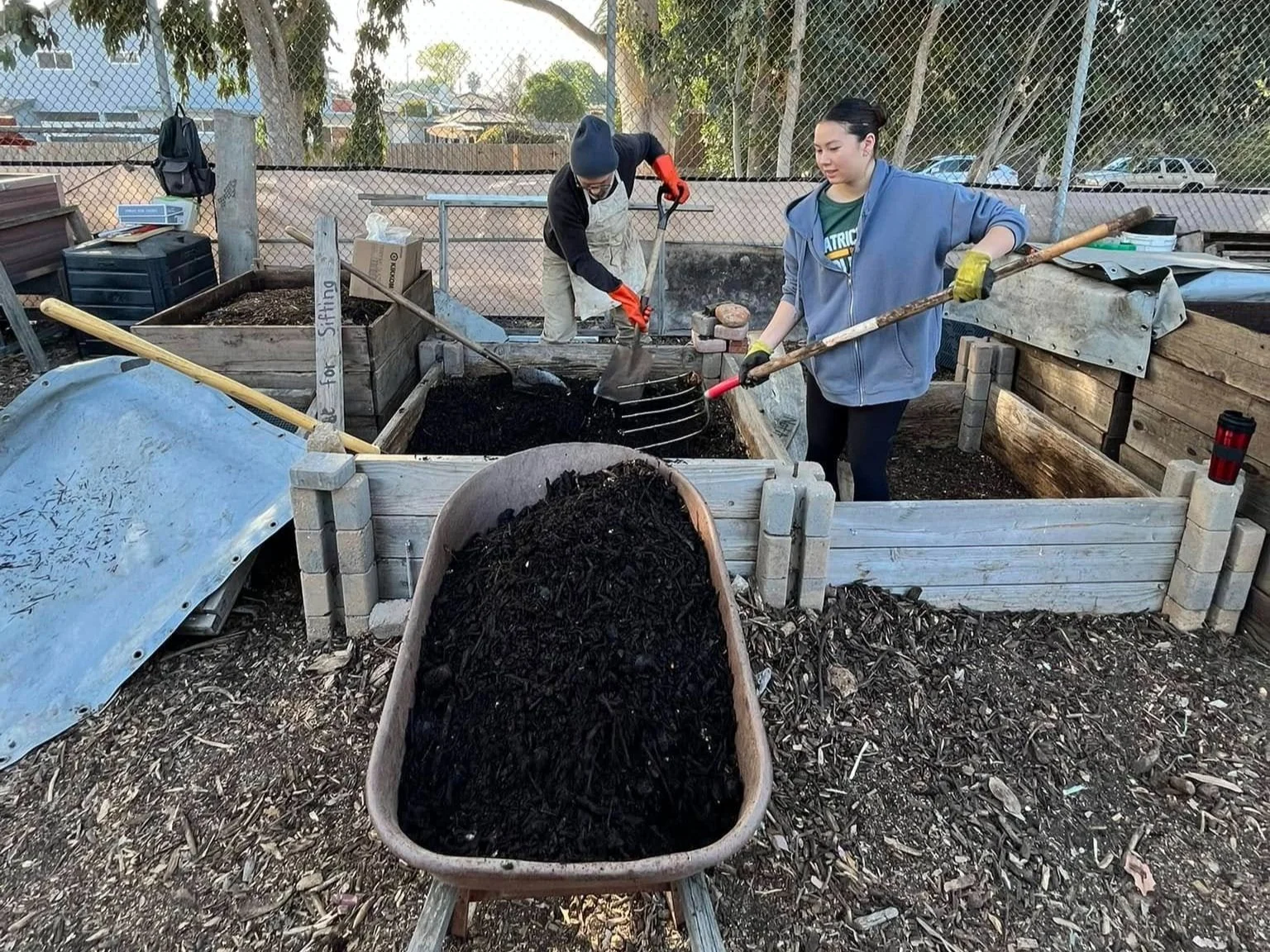 Compost Posse members turning compost with pitch forks.