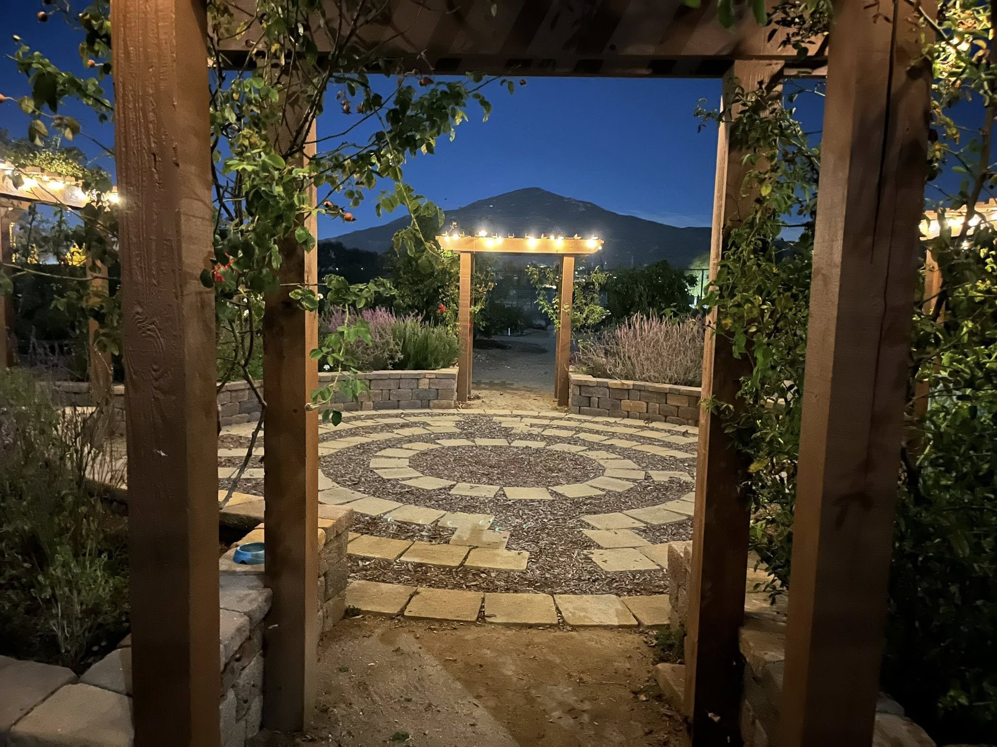 Meditation in the Garden every Wednesday during summer!