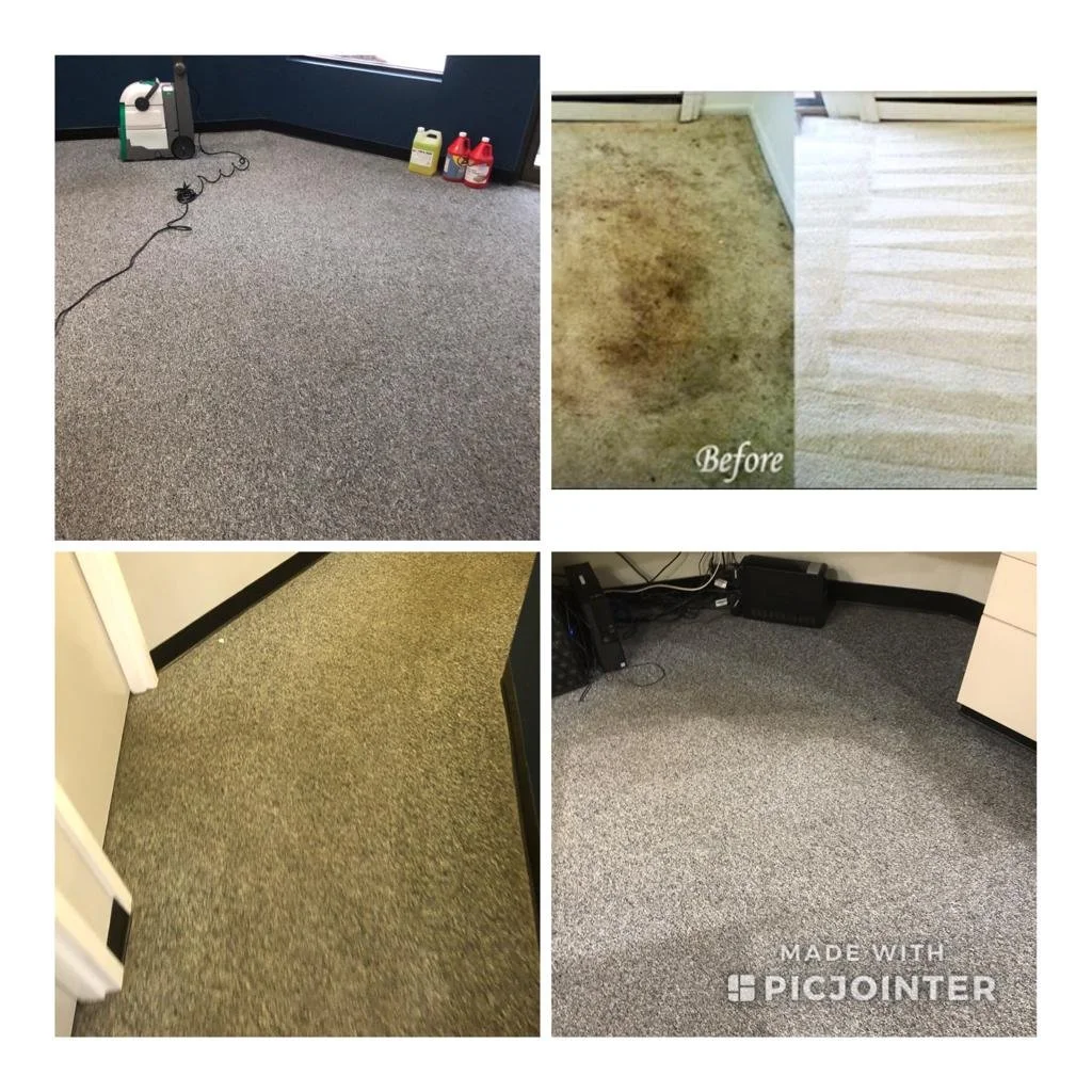 WhatsApp Image 2021-12-12 at 14.09.52.jpeg