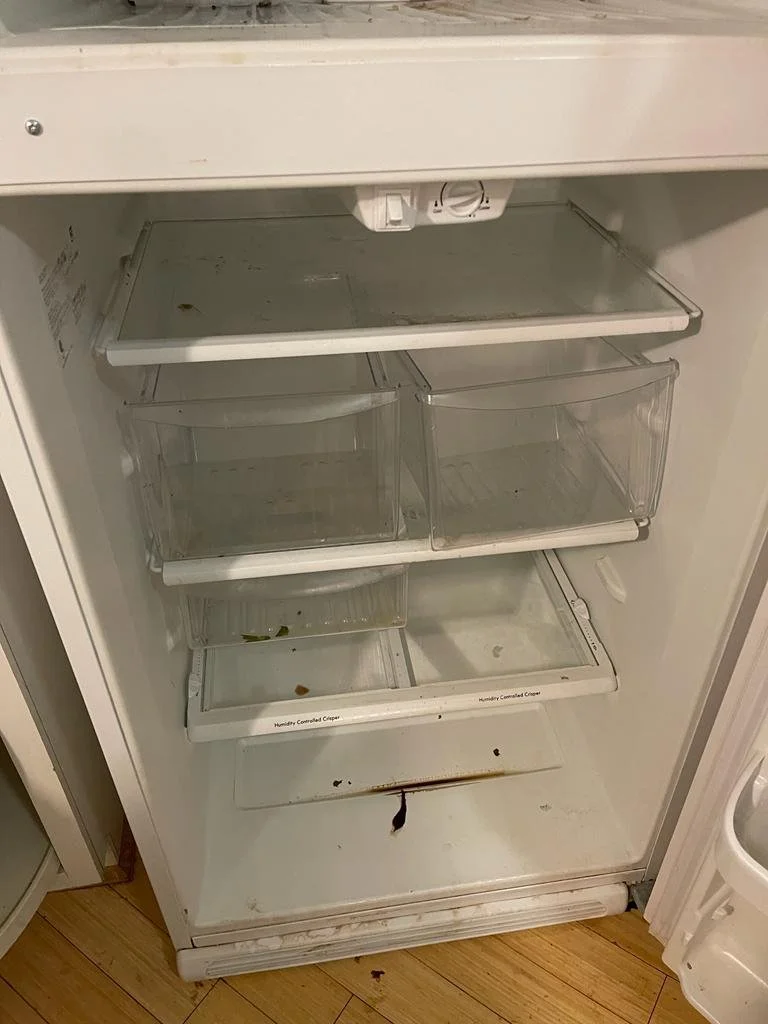 WhatsApp Image 2021-12-12 at 14.13.35.jpeg