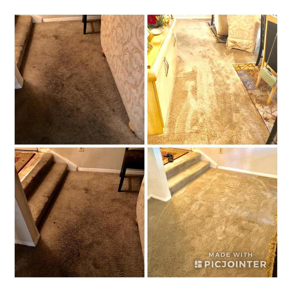 WhatsApp Image 2021-12-12 at 14.07.53.jpeg