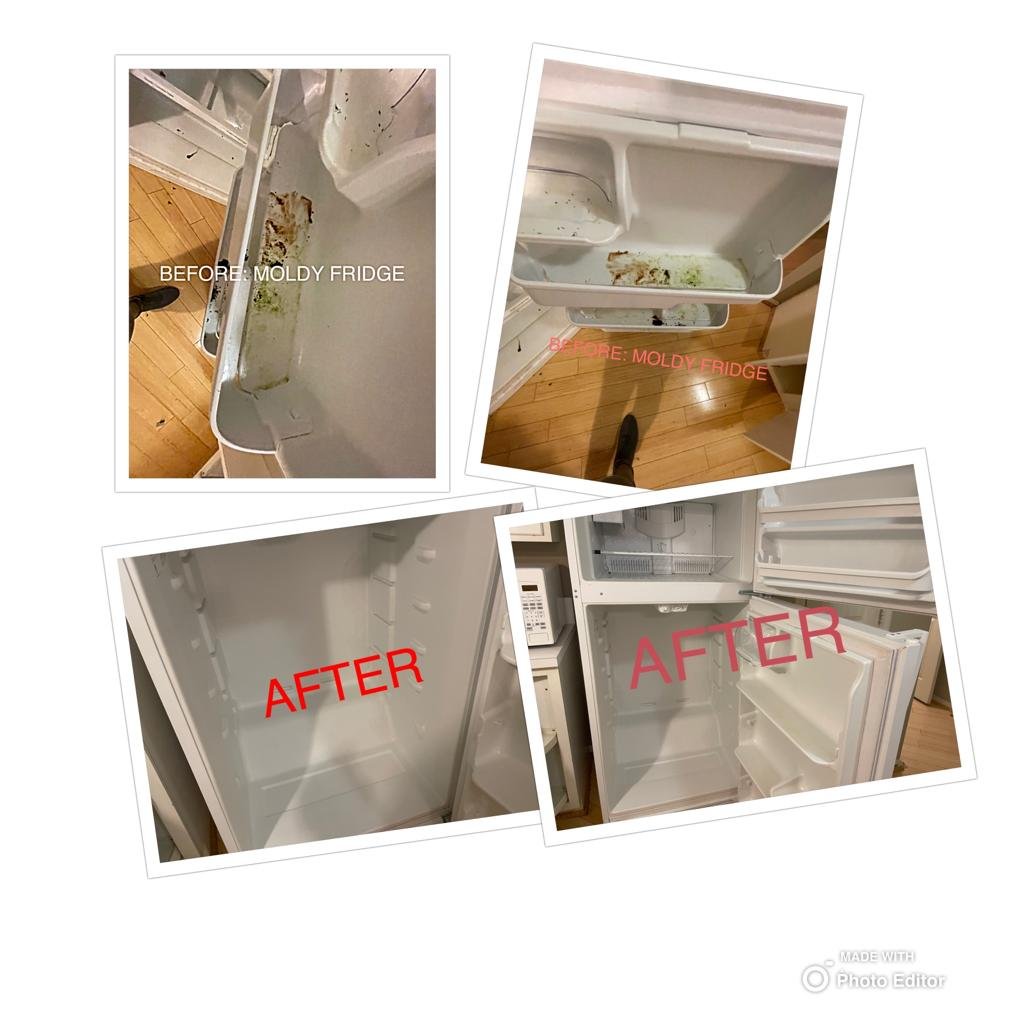 WhatsApp Image 2021-12-12 at 14.09.52 (4).jpeg