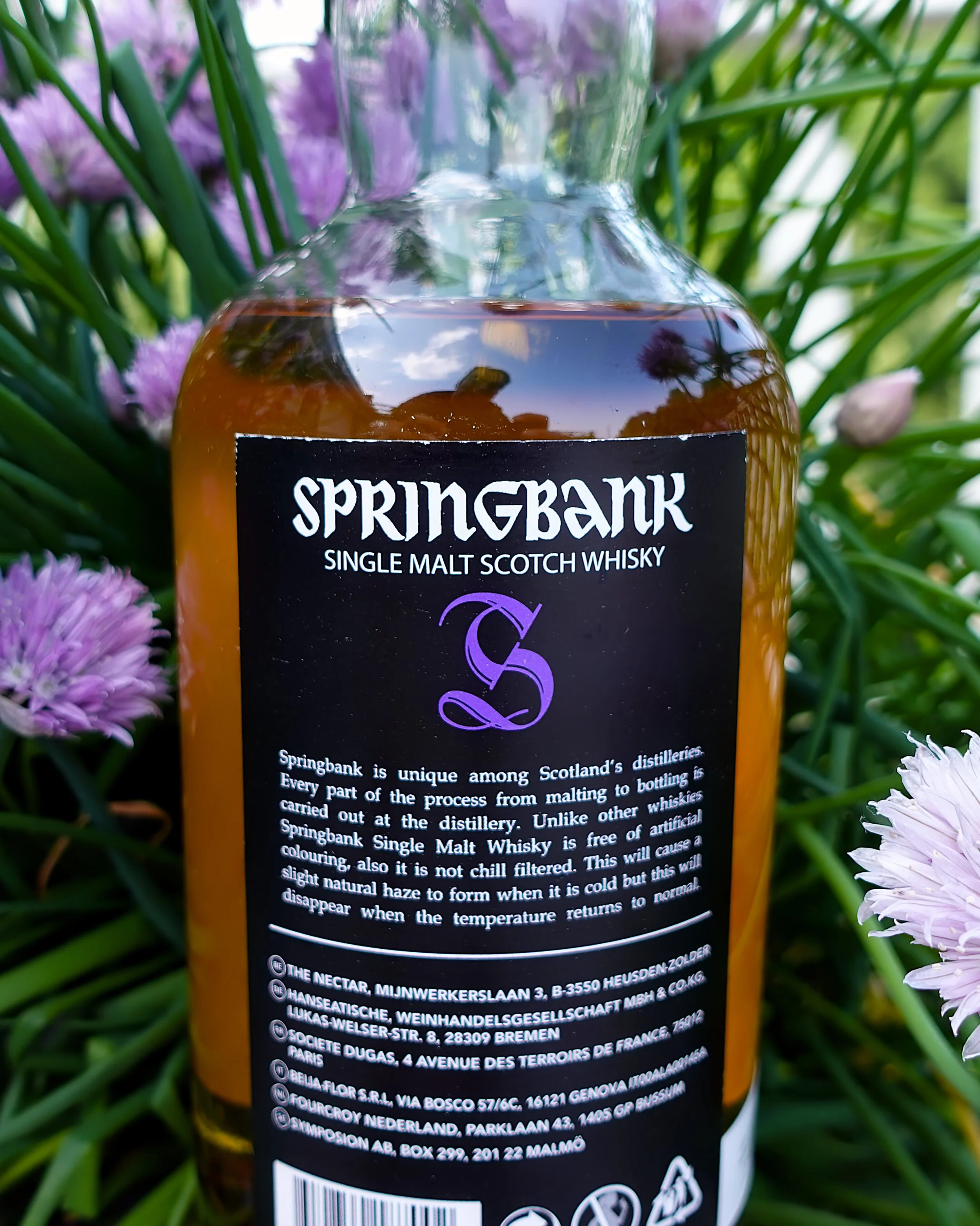 Springbank PureMalt ScotchWhisky 未開封 Springbank PureMalt 
