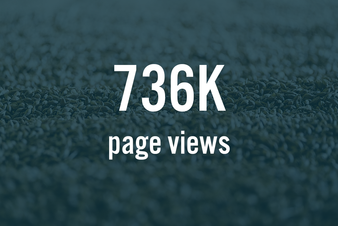 Page Views.png
