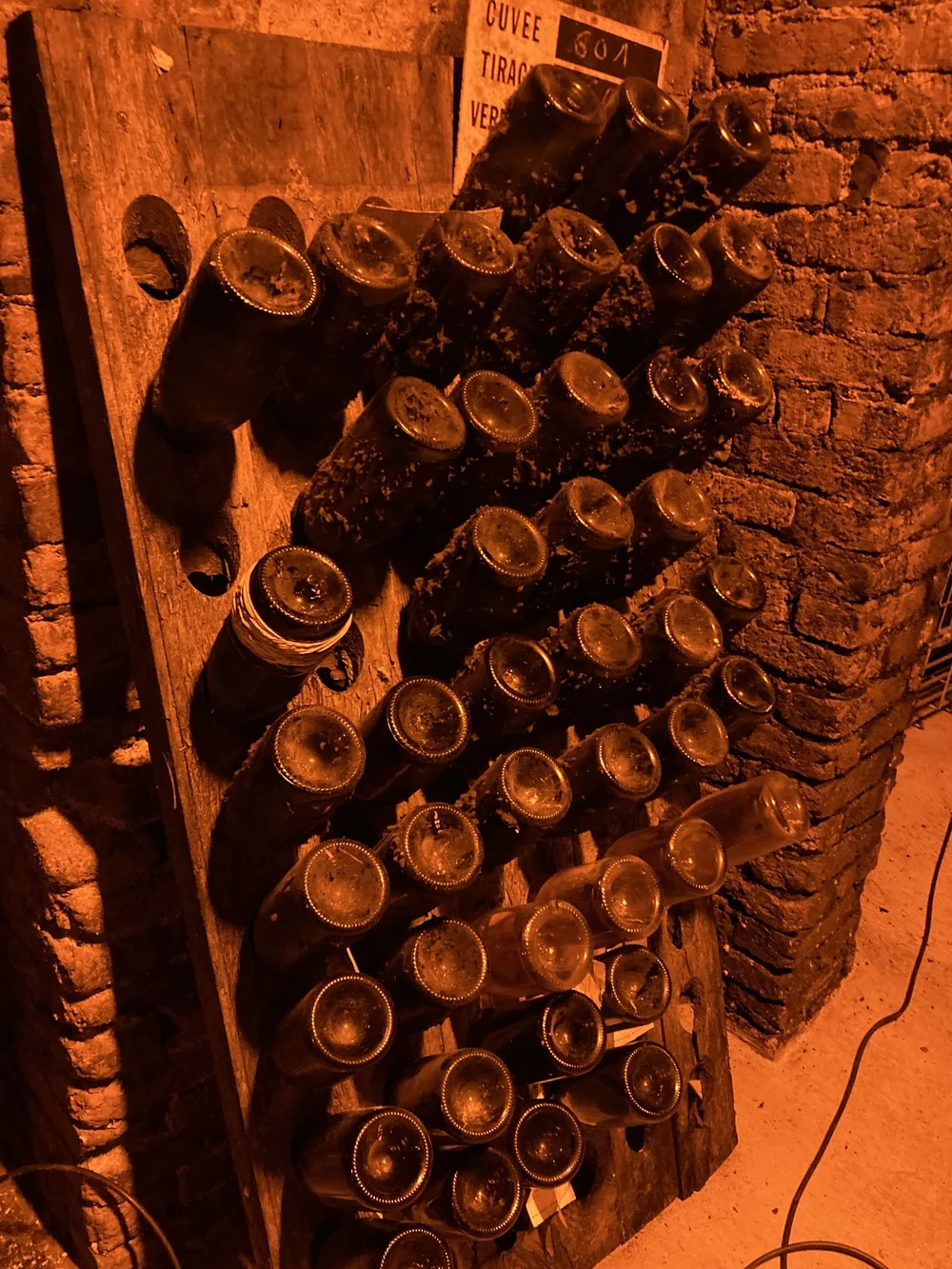  CHAMPAGNE BOTTLES AGEING ON LEES.JPG