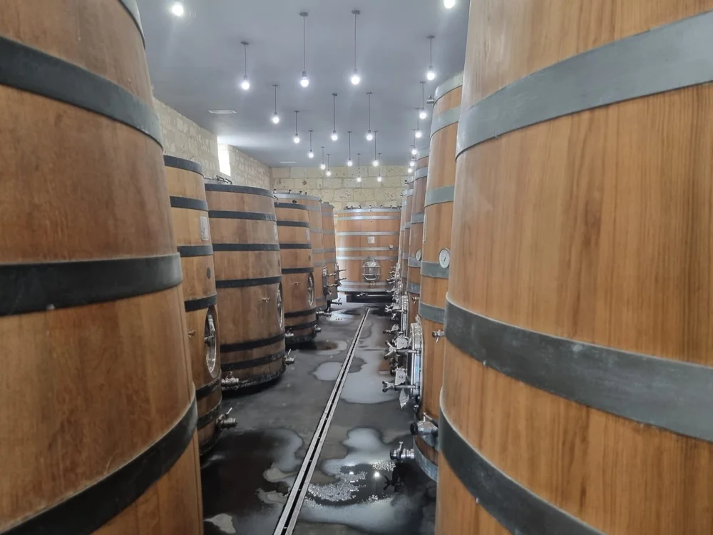  CELLAR BOURGUEIL3.JPG