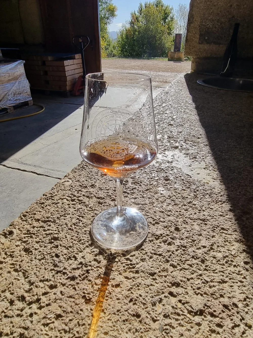  ORANGE WINE AT PHILIPPE VIRET.JPG