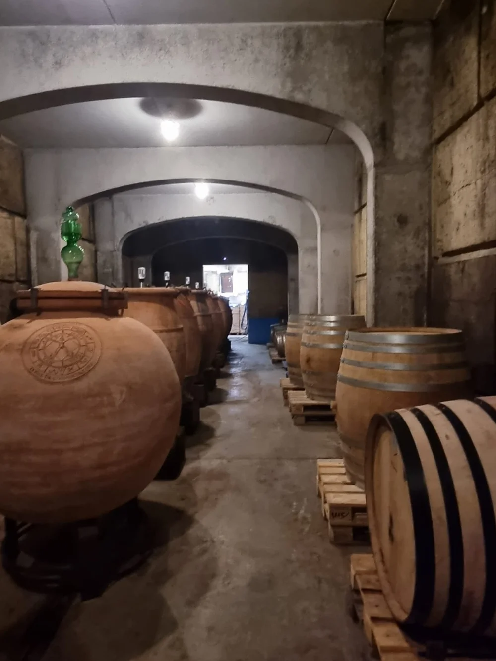  CELLAR PHILIPPE VIRET2.JPG