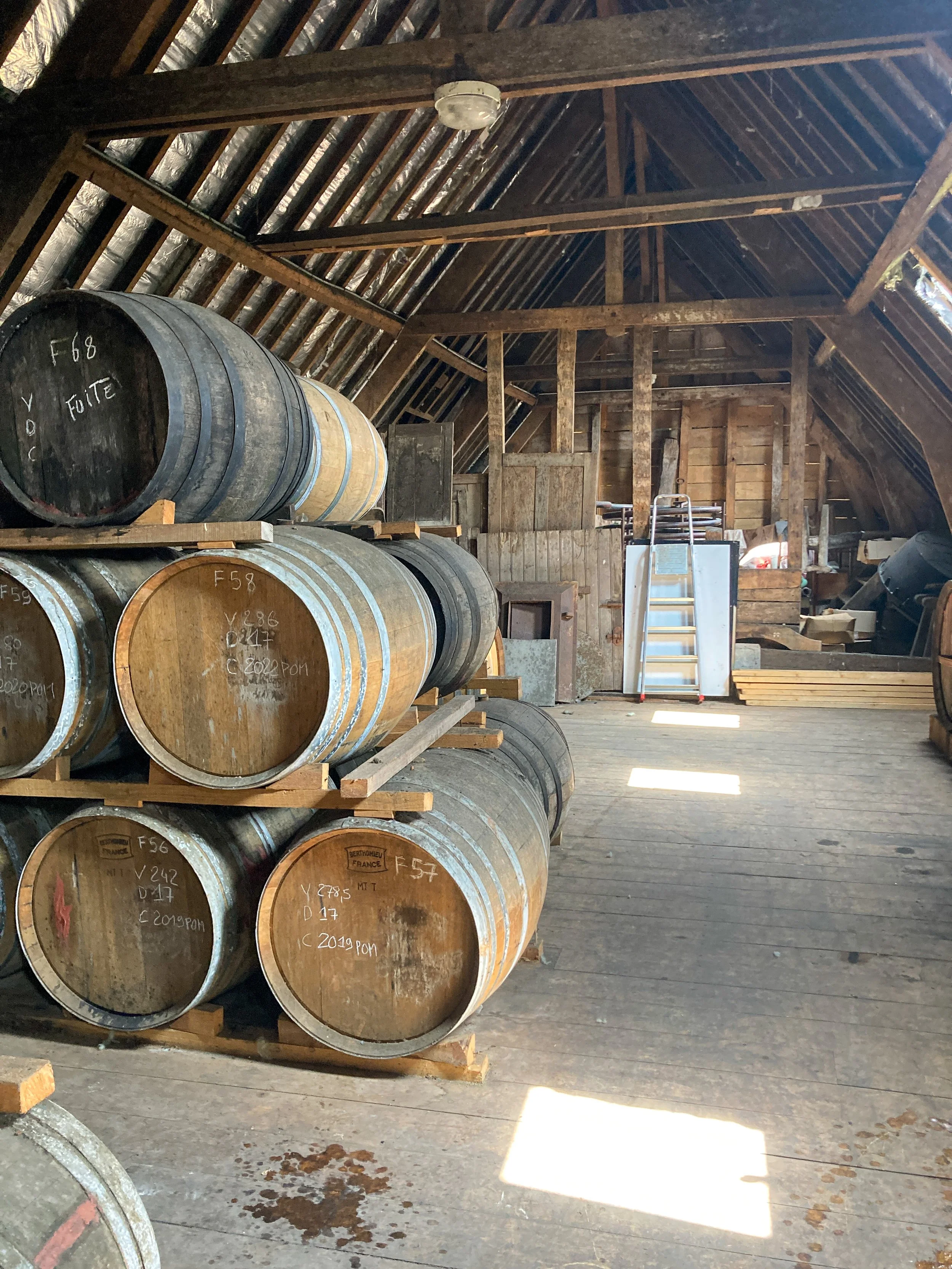 Malternatives 101 Part 3: Fruit Brandies &amp; Liqueurs