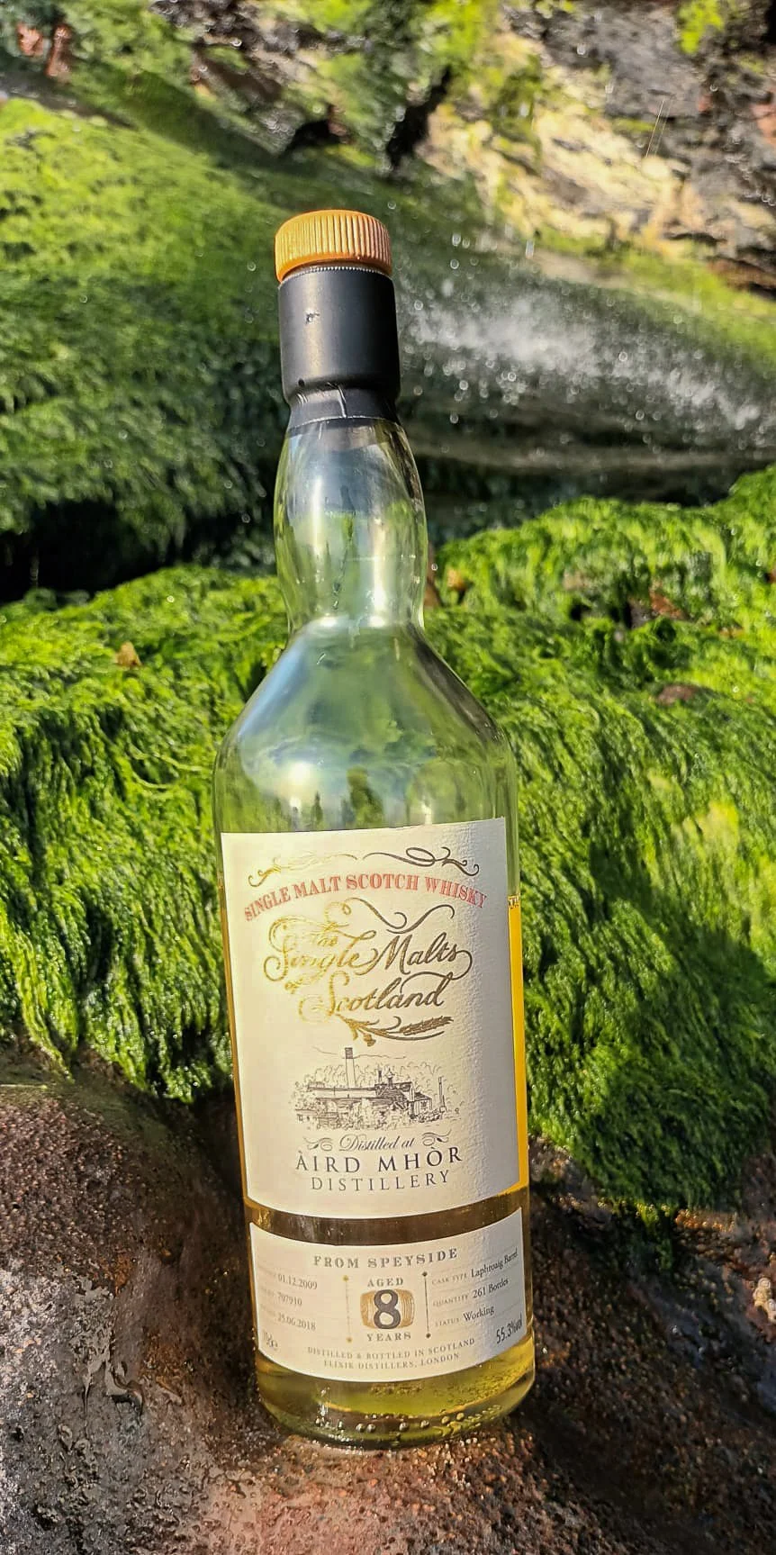 Fergus Ardmore 8yo SMoS 52.jpg