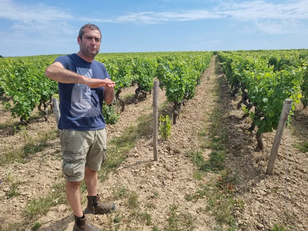  VINCENT CAREME VOUVRAY.JPG