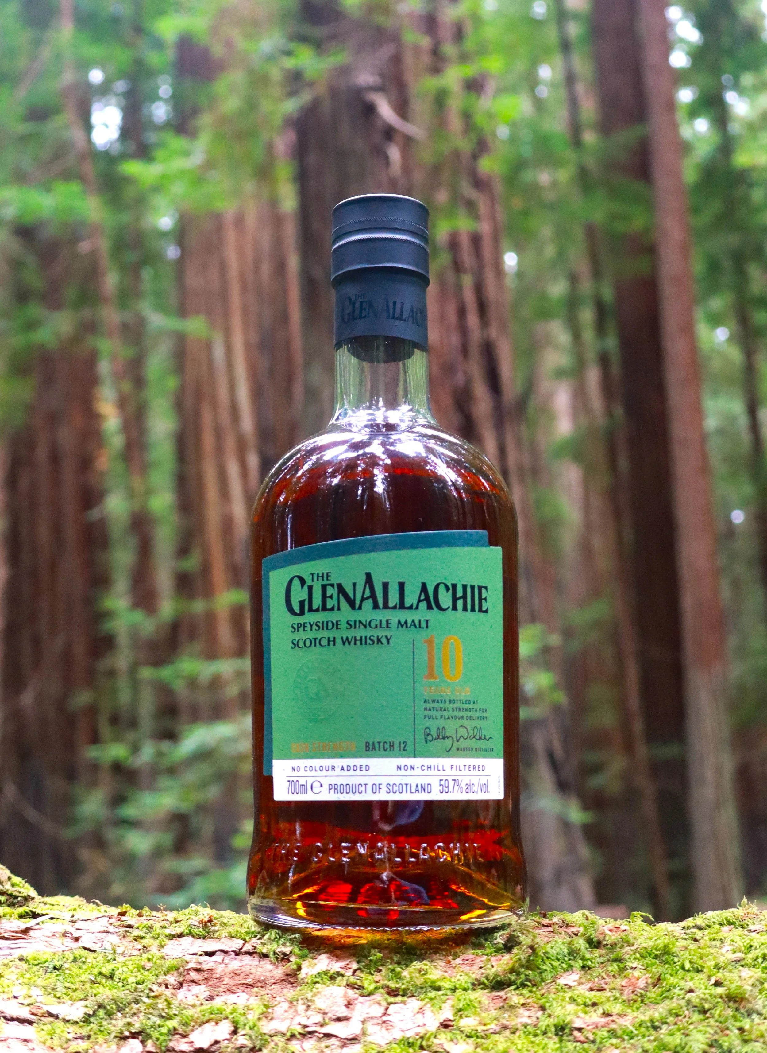 Glenallachie 10 Cask Strength