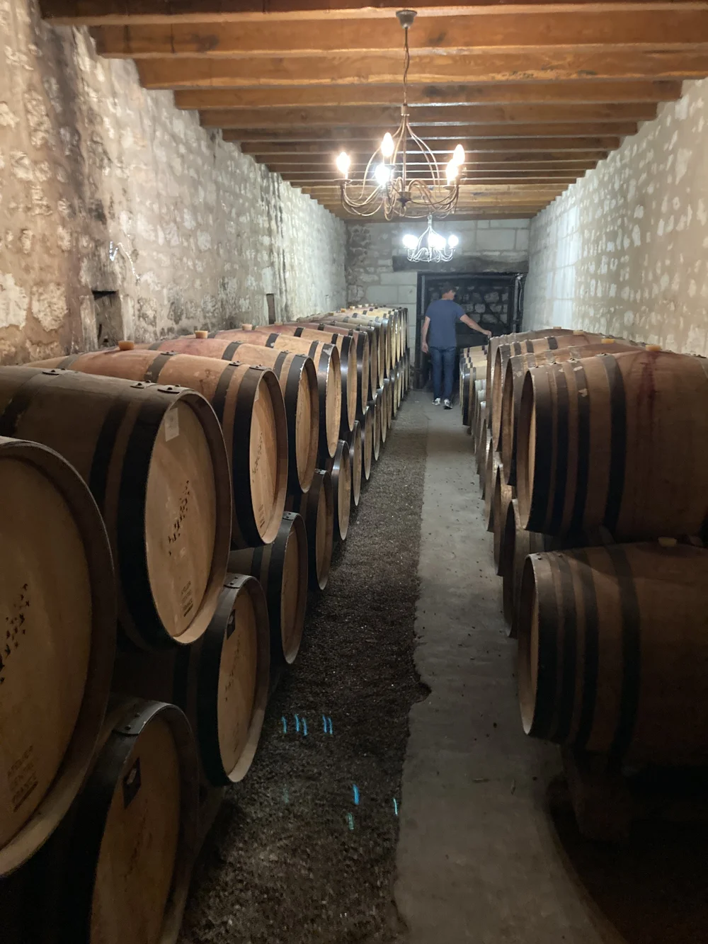  CELLAR BOURGUEIL1.JPG