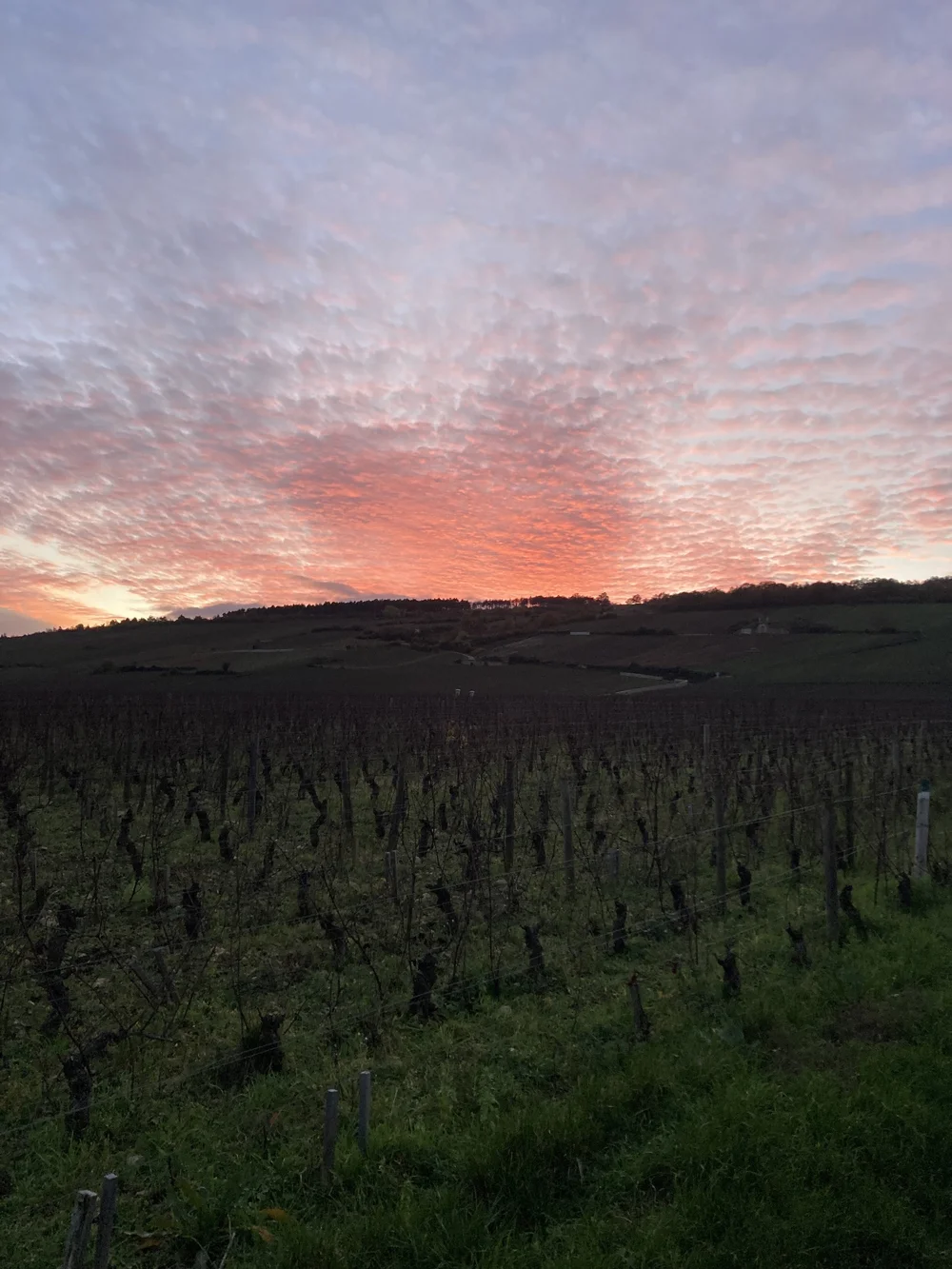  SUNSET OVER BOURGOGNE.JPG