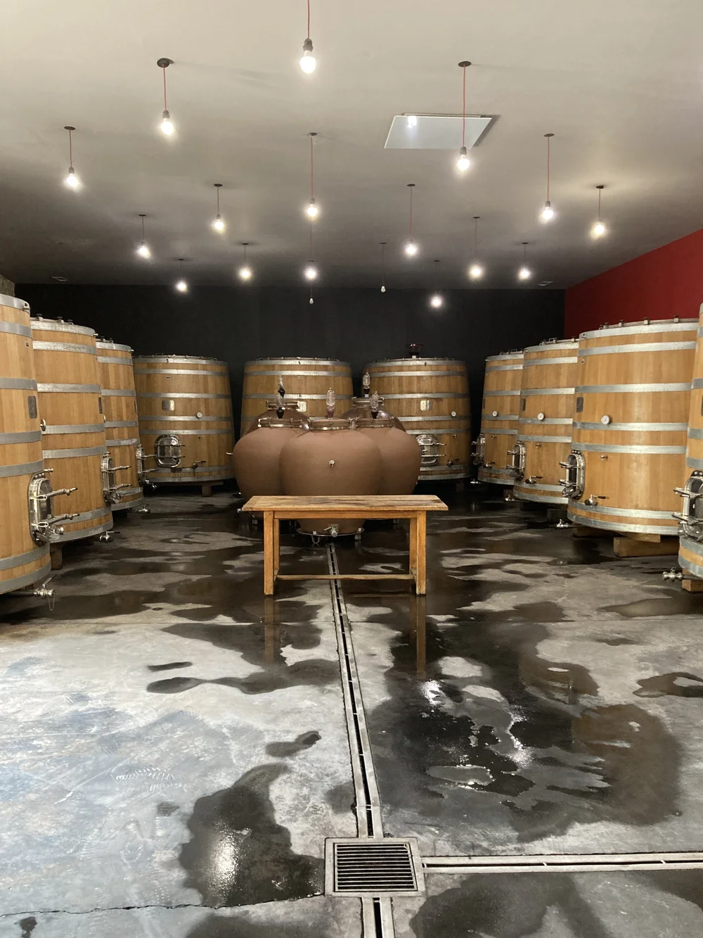  CELLAR BOURGUEIL2.JPG