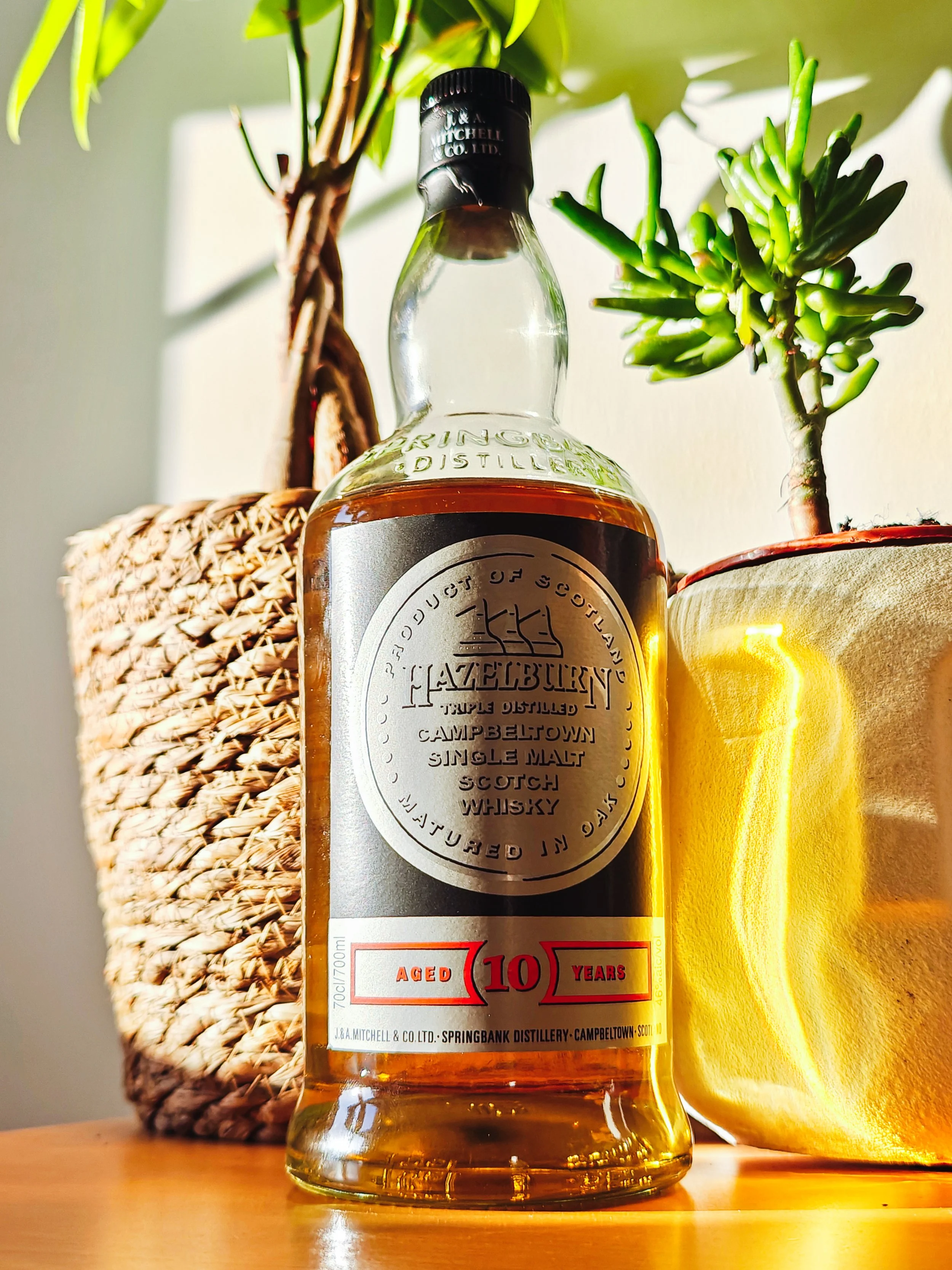HAZELBURN 10年 シングルモルトウイスキー ヘーゼルバーン10年 - Whisk-e