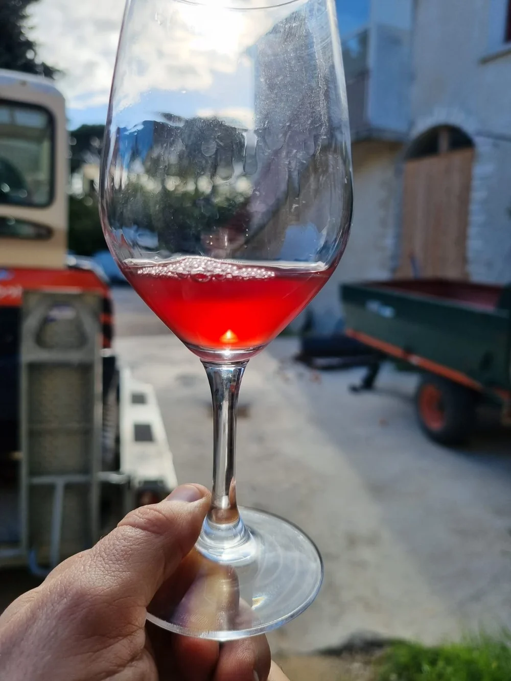  TAVEL AT DOMAINE DE L_ANGLORE.JPG