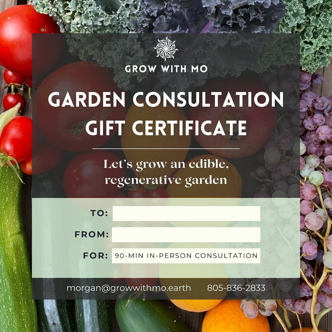 A Garden Consultation is the perfect gift for the green thumb (or aspiring green thumb!) 💚👍 in your life

Whether they have an existing garden that they want to up-level, or are just getting started on their gardening journey, I can meet your garde