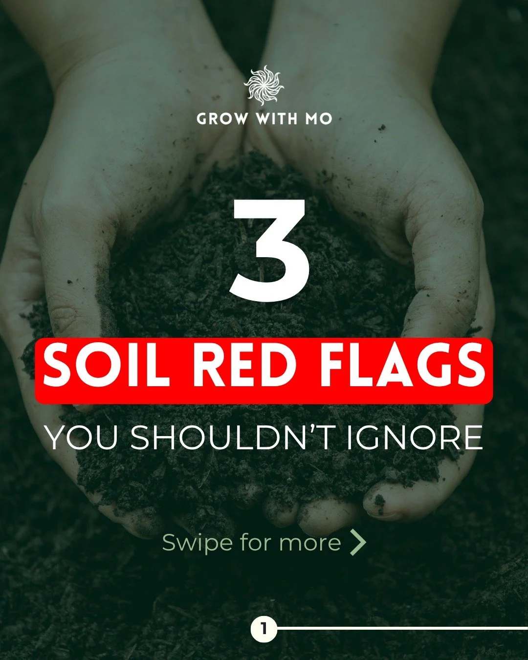 When I meet a client whose garden is struggling, there is almost always a soil issue we need to correct. If your garden is having a hard time in the summer heat 🥵, your soil might be sending out SOS signals. Here are 3 signs your soil needs a little