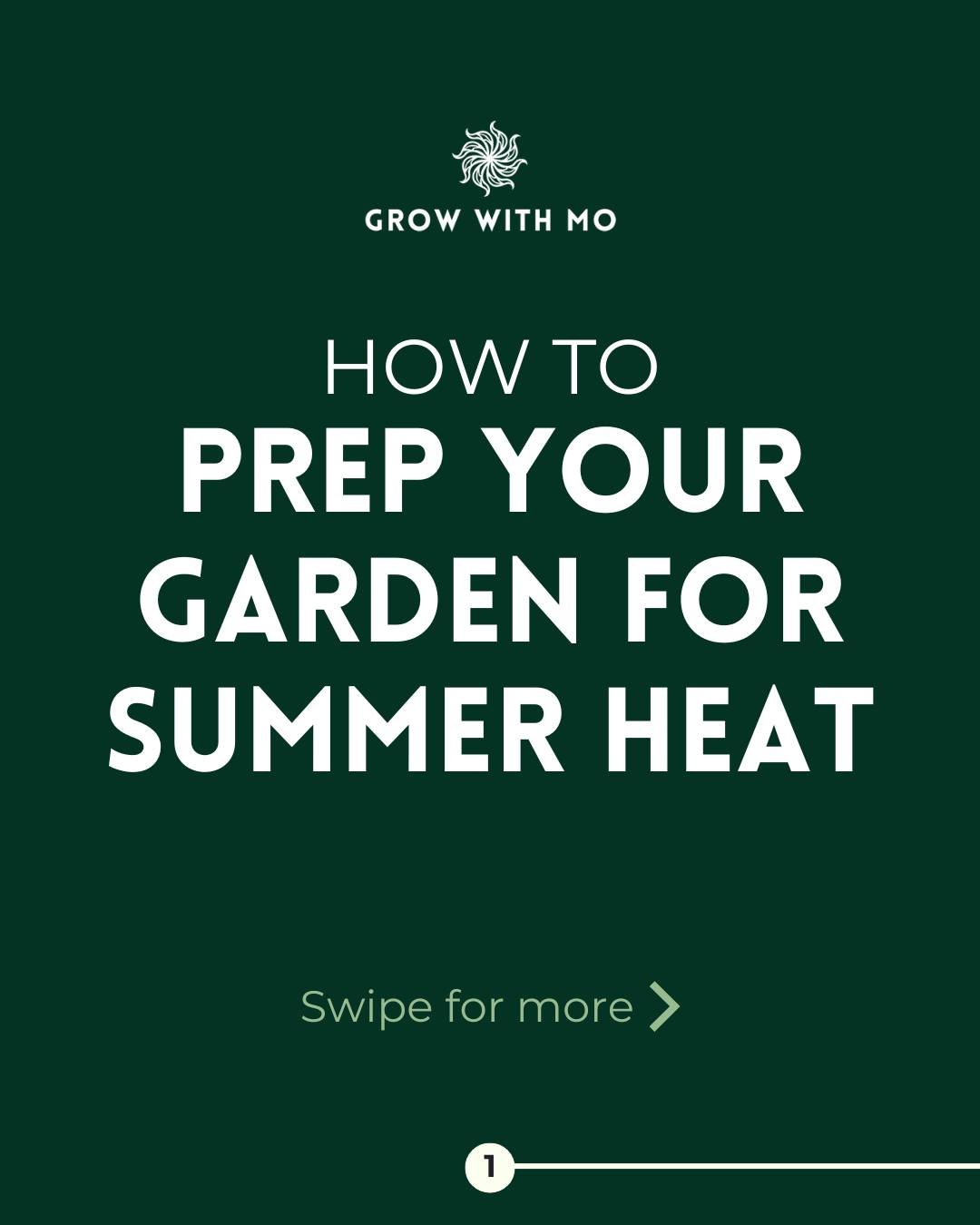 Summer heat is no joke in SoCal 🌞
With the summer solstice landing on June 20, the hottest stretch is just getting started. If you're gardening in a dry, sunny climate like ours, a little prep goes a long way! From soil care to smart watering and sh
