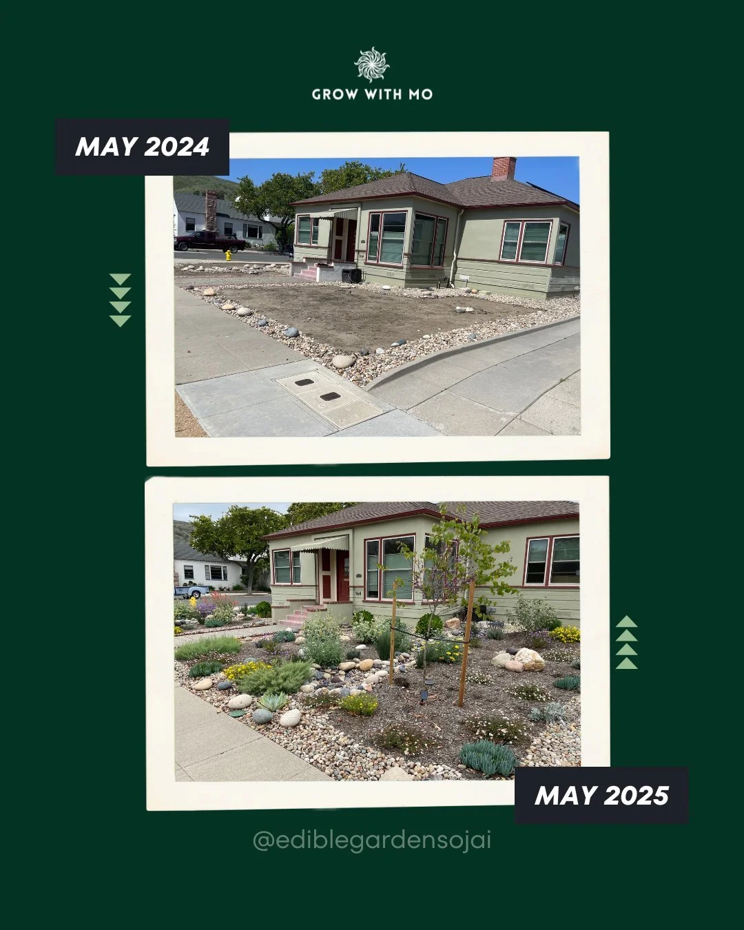 One year. One yard. A complete transformation &mdash;from May 2024 to May 2025&mdash;as this client's plain front yard turned into a colorful, pollinator-friendly native landscape.

The goals?
✔️ Add California native plants for pollinators
✔️ Redire
