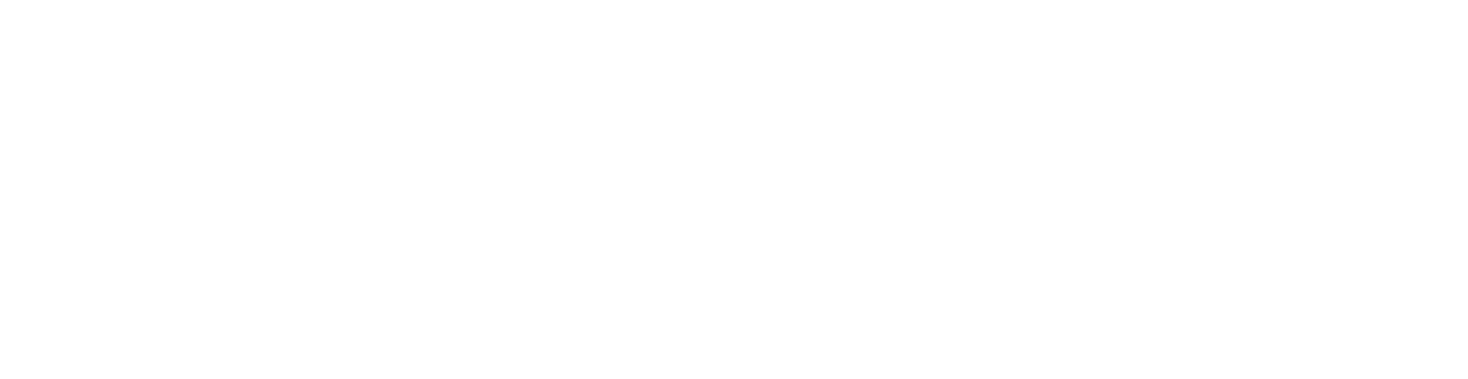 Emergence LLC