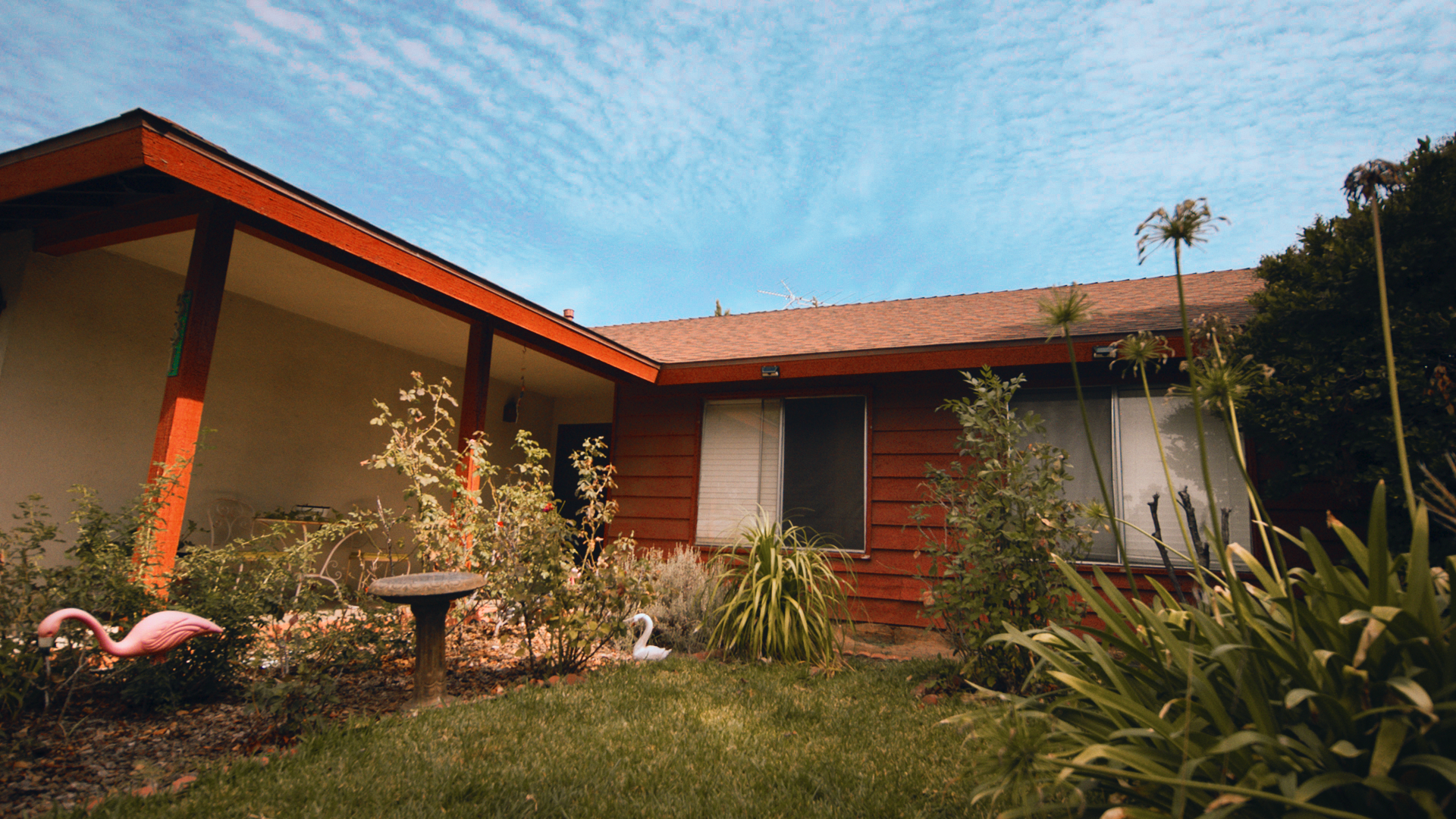 Still 2025-02-15 231615_1.1.1.png