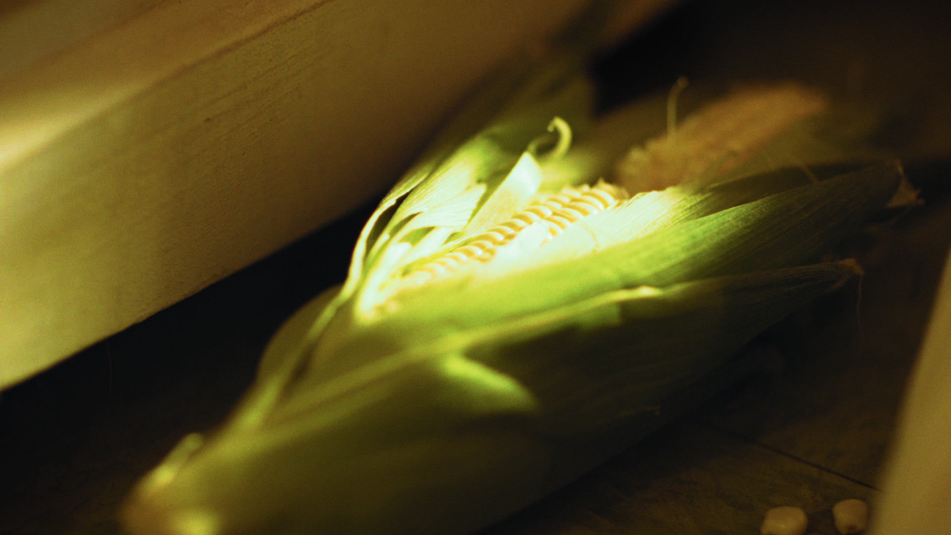 Still 2025-02-15 231615_1.93.1.png