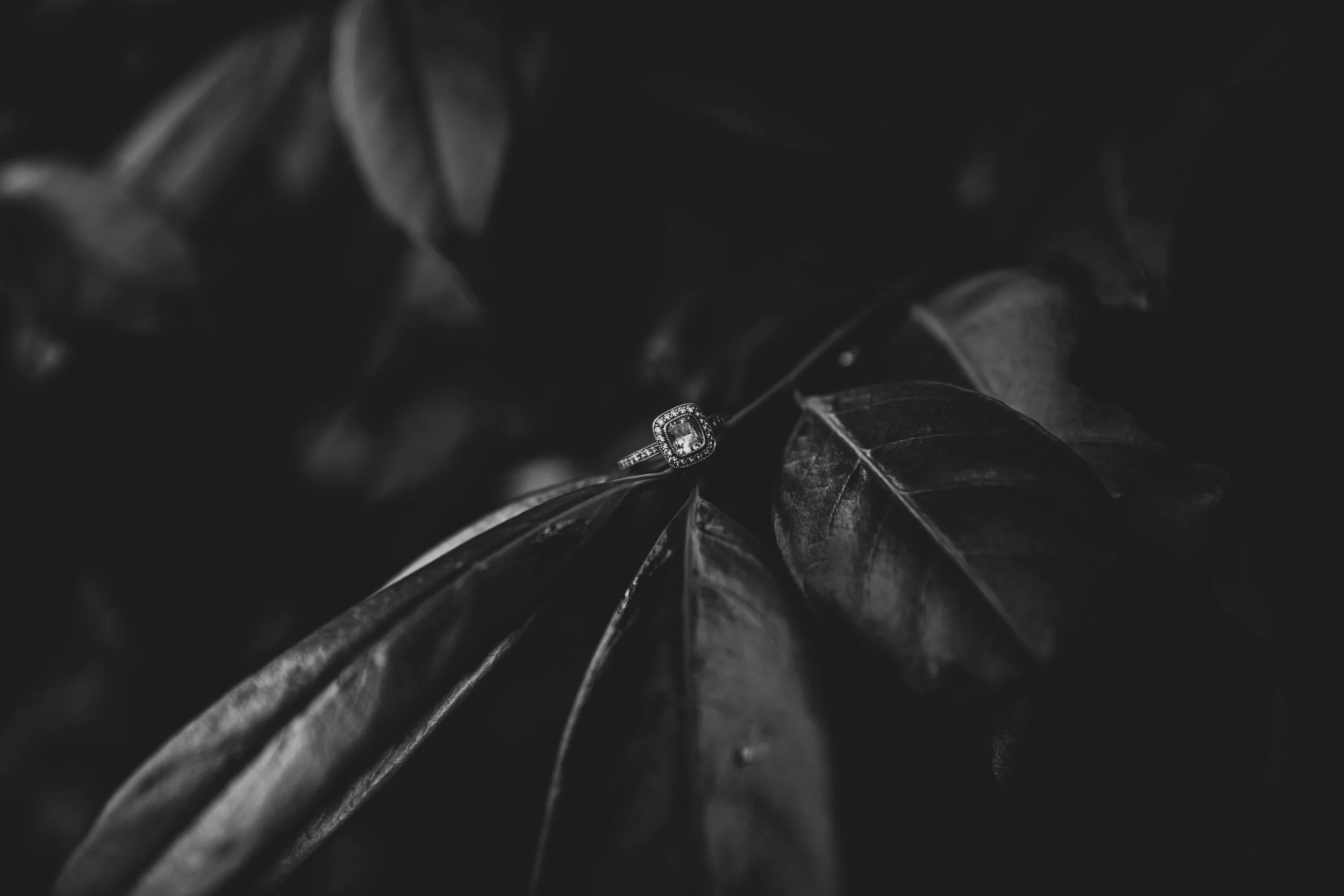 Portfolio Weddings-15.jpg