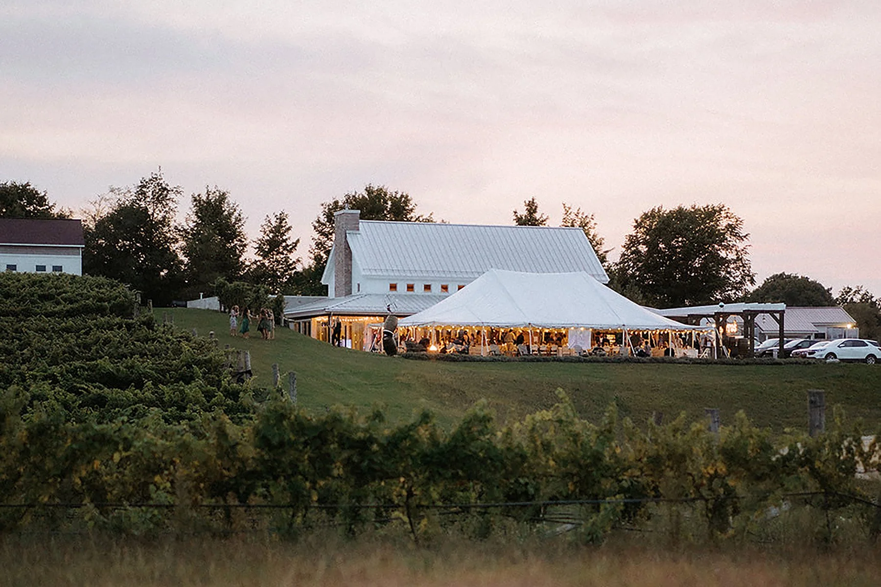 BRENGMAN FAMILY WINERY- DEBUT